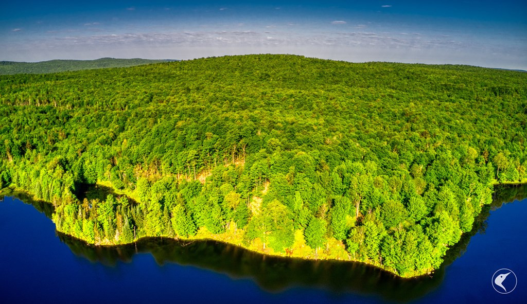 20 Twin Ponds Preserve, Malone, New York image 4