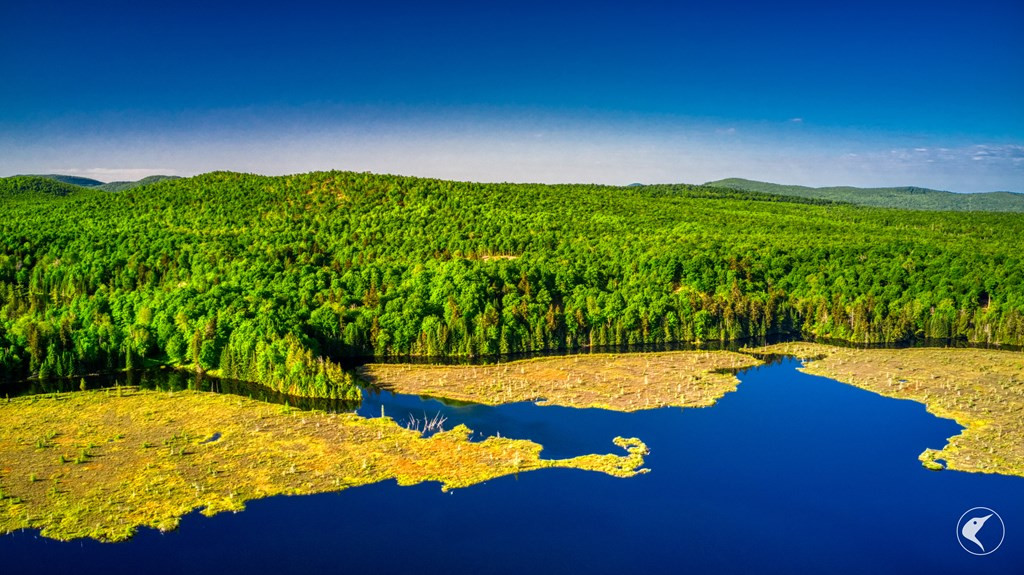 20 Twin Ponds Preserve, Malone, New York image 19