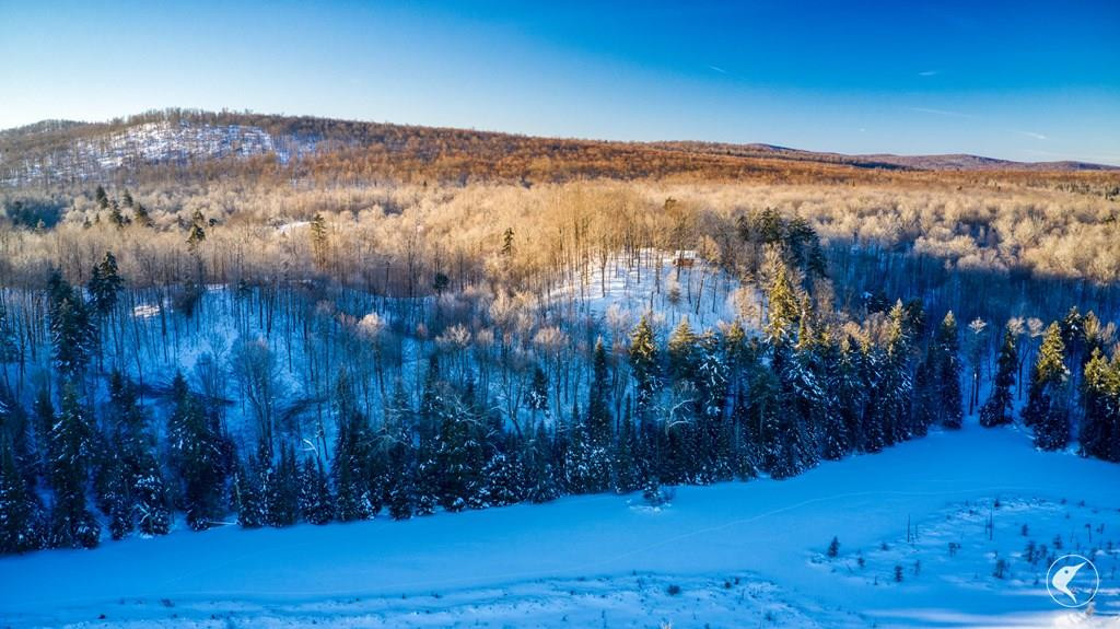 20 Twin Ponds Preserve, Malone, New York image 37