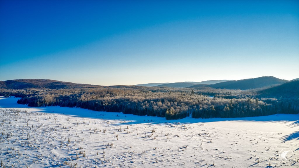 20 Twin Ponds Preserve, Malone, New York image 31