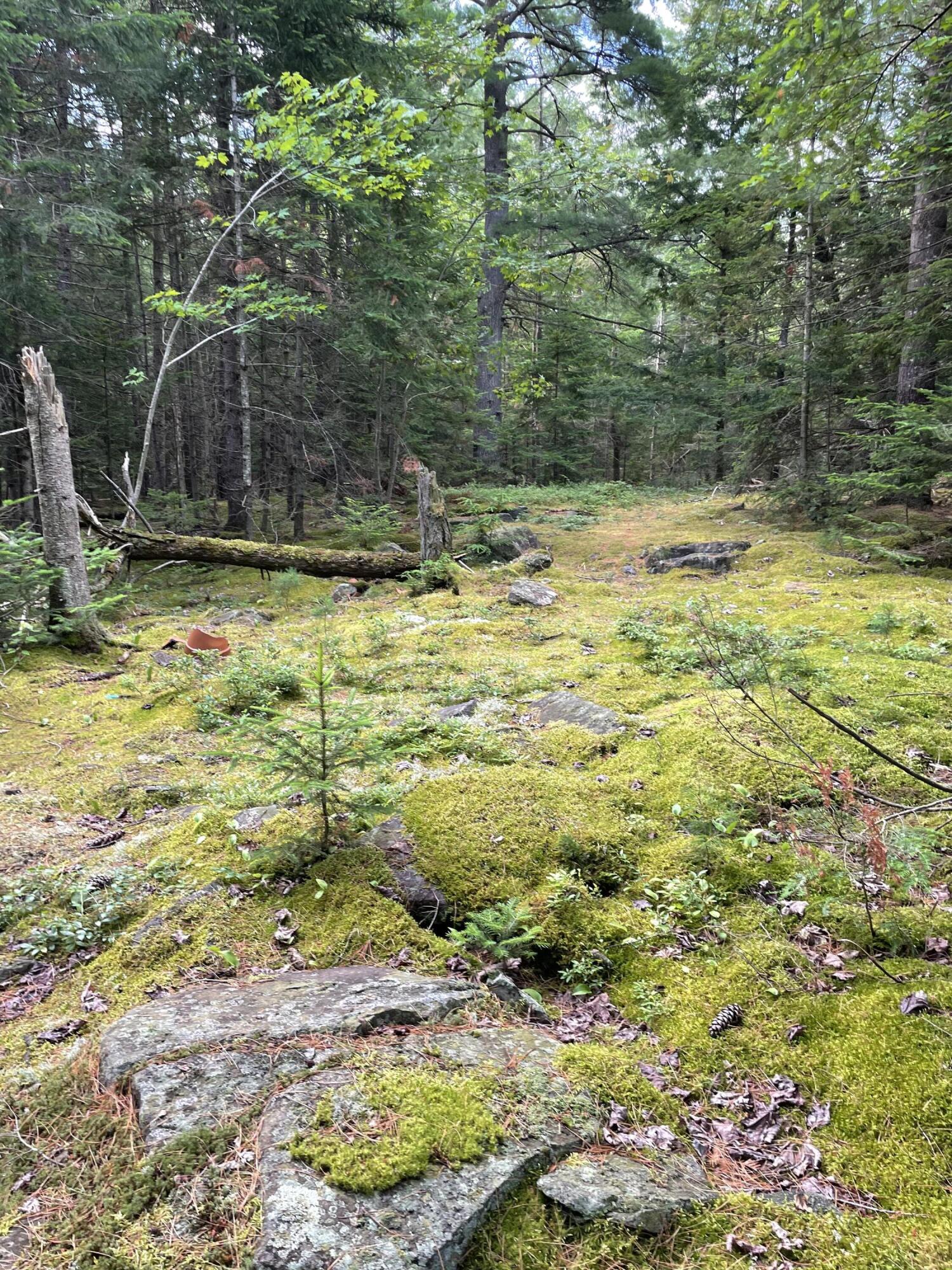 Canaan Road, Mooers Forks, New York image 9