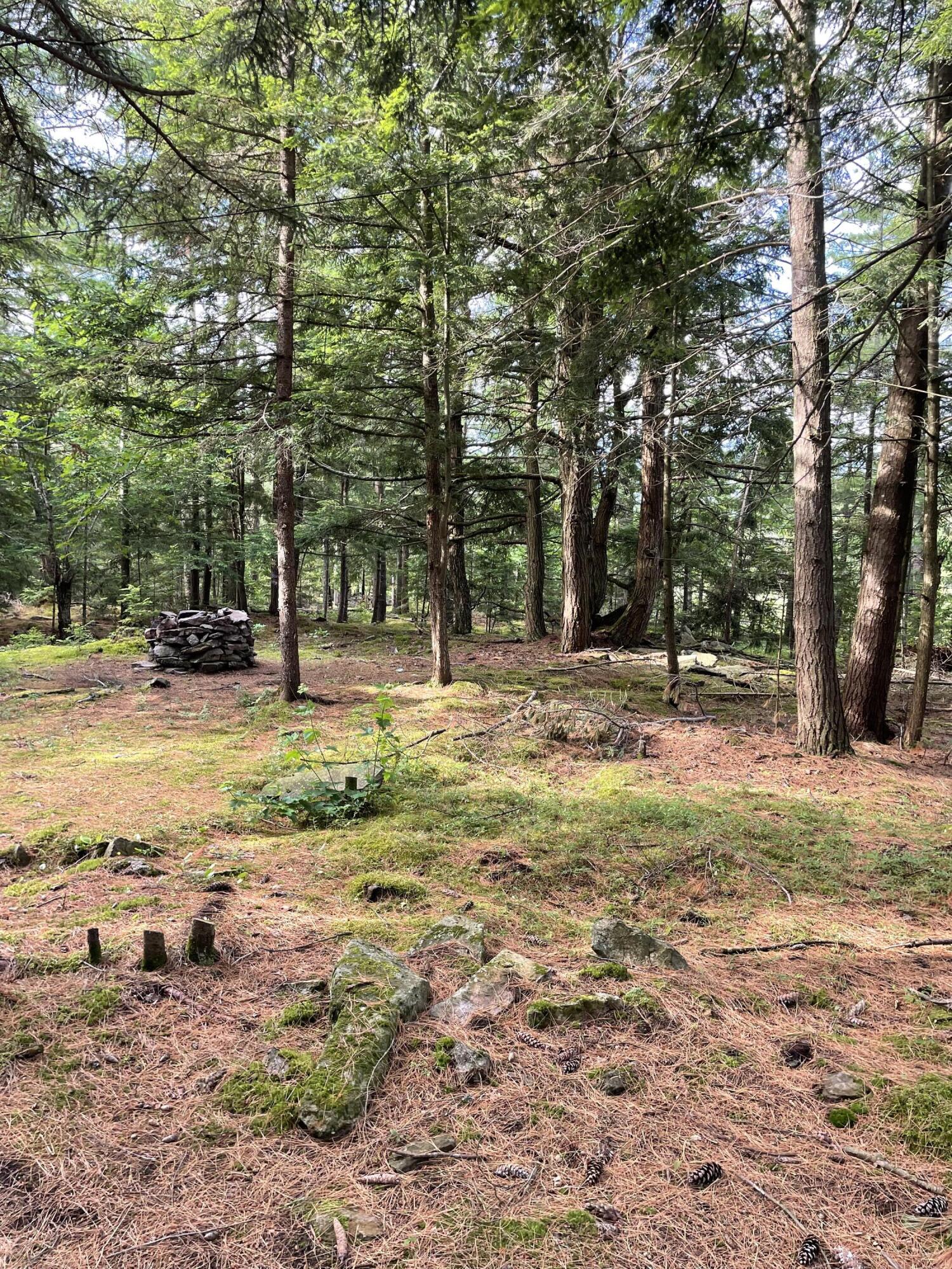 Canaan Road, Mooers Forks, New York image 7