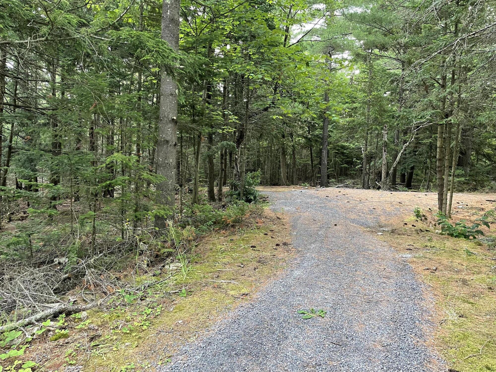 Canaan Road, Mooers Forks, New York image 5