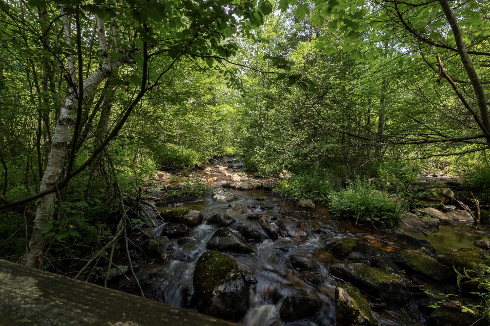 272 Plumadore Road, Saranac, New York image 9