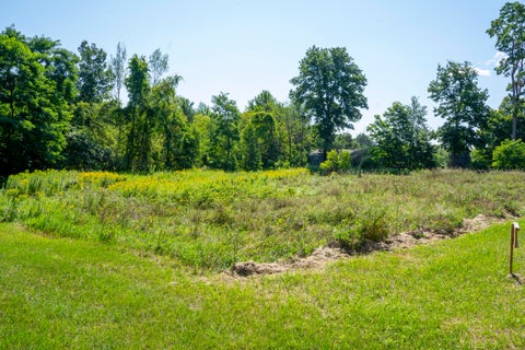 Vacant Land For Sale - Route 22<br/> Clinton County, West Chazy, NY 12992