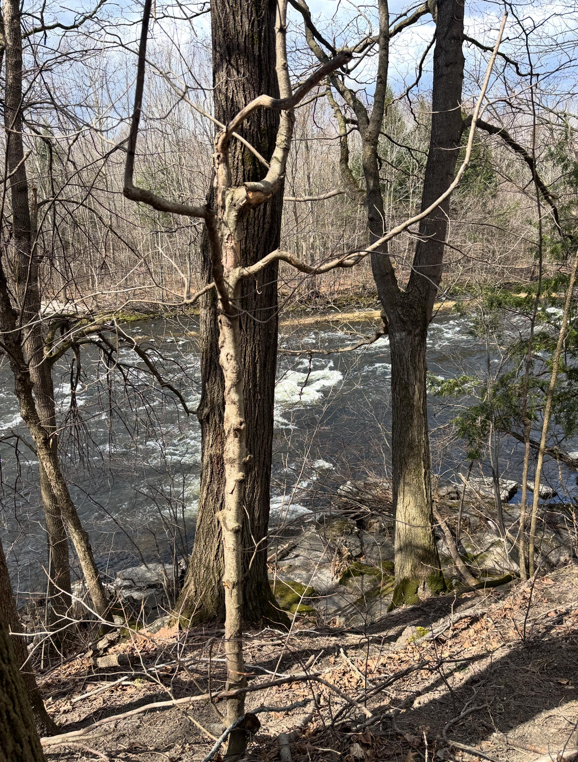 141 Perry Mills Road Rd, Champlain, New York image 4