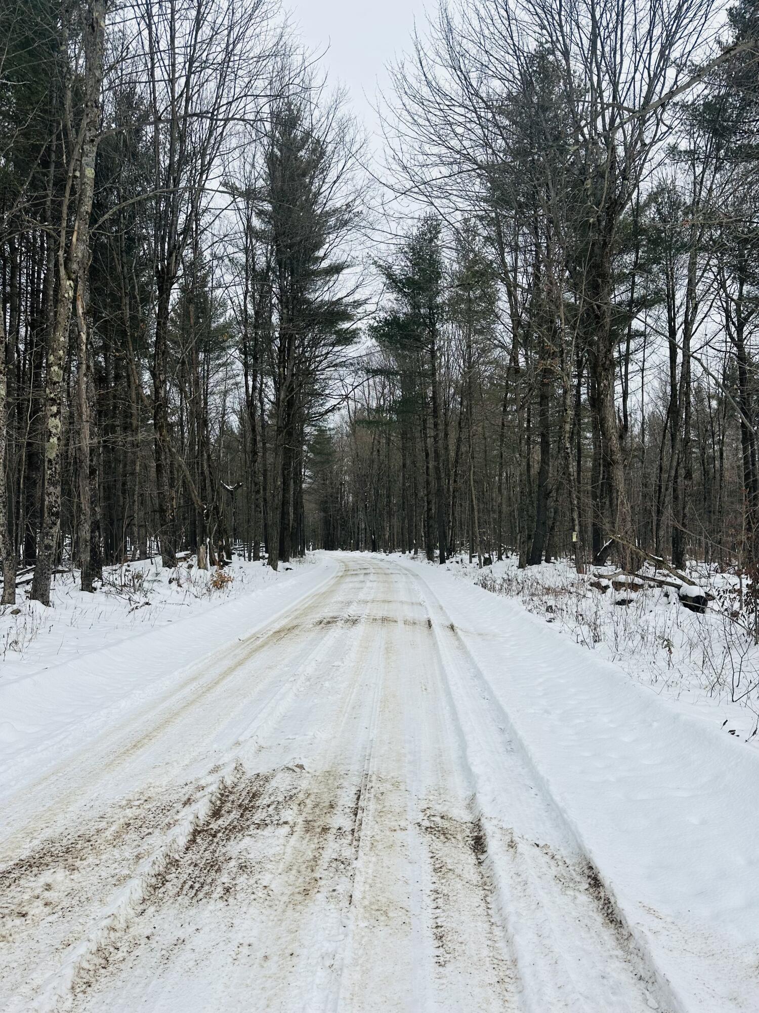 Perkins Rd, Parishville, New York image 4