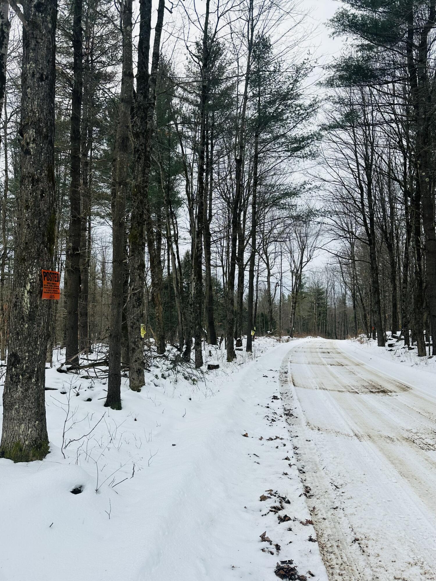 Perkins Rd, Parishville, New York image 6