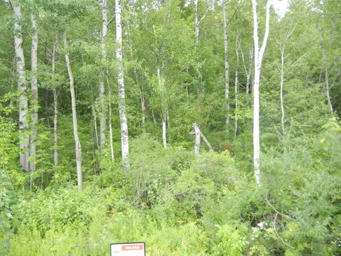 Vacant Land For Sale - Lake Roxanne Road<br/> Clinton County, Ellenburg, NY 12933