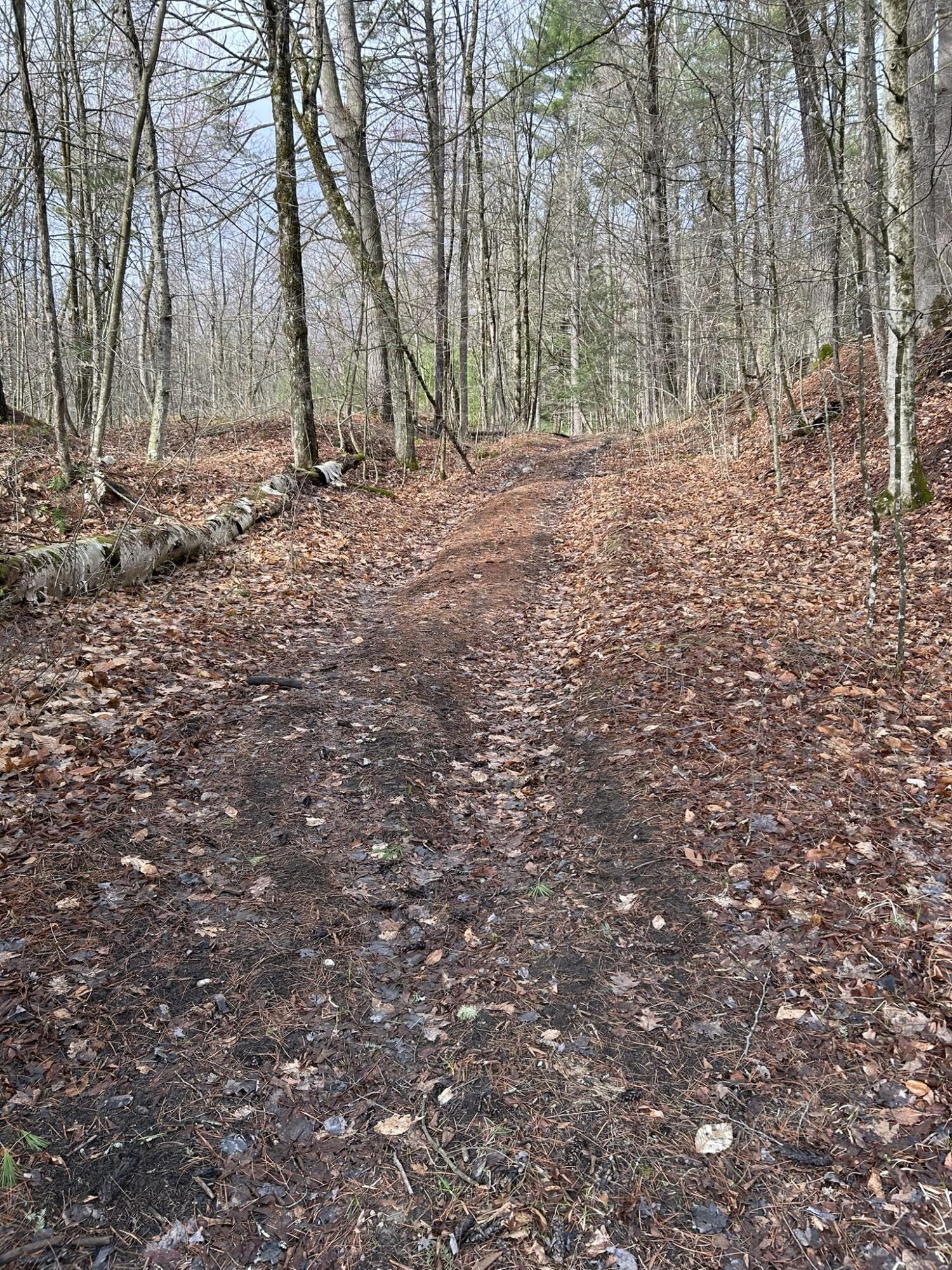 TBD Mountain Spring Road