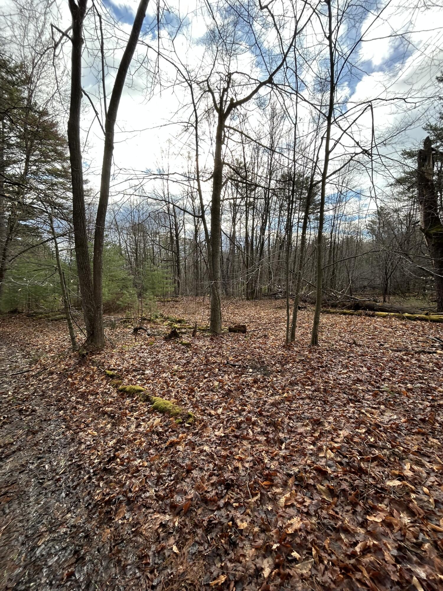 TBD Mountain Spring Road