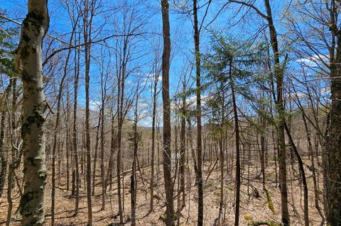 Photo of 00000 Palisades Road W, Old Forge, NY 13420 (MLS # 204510)