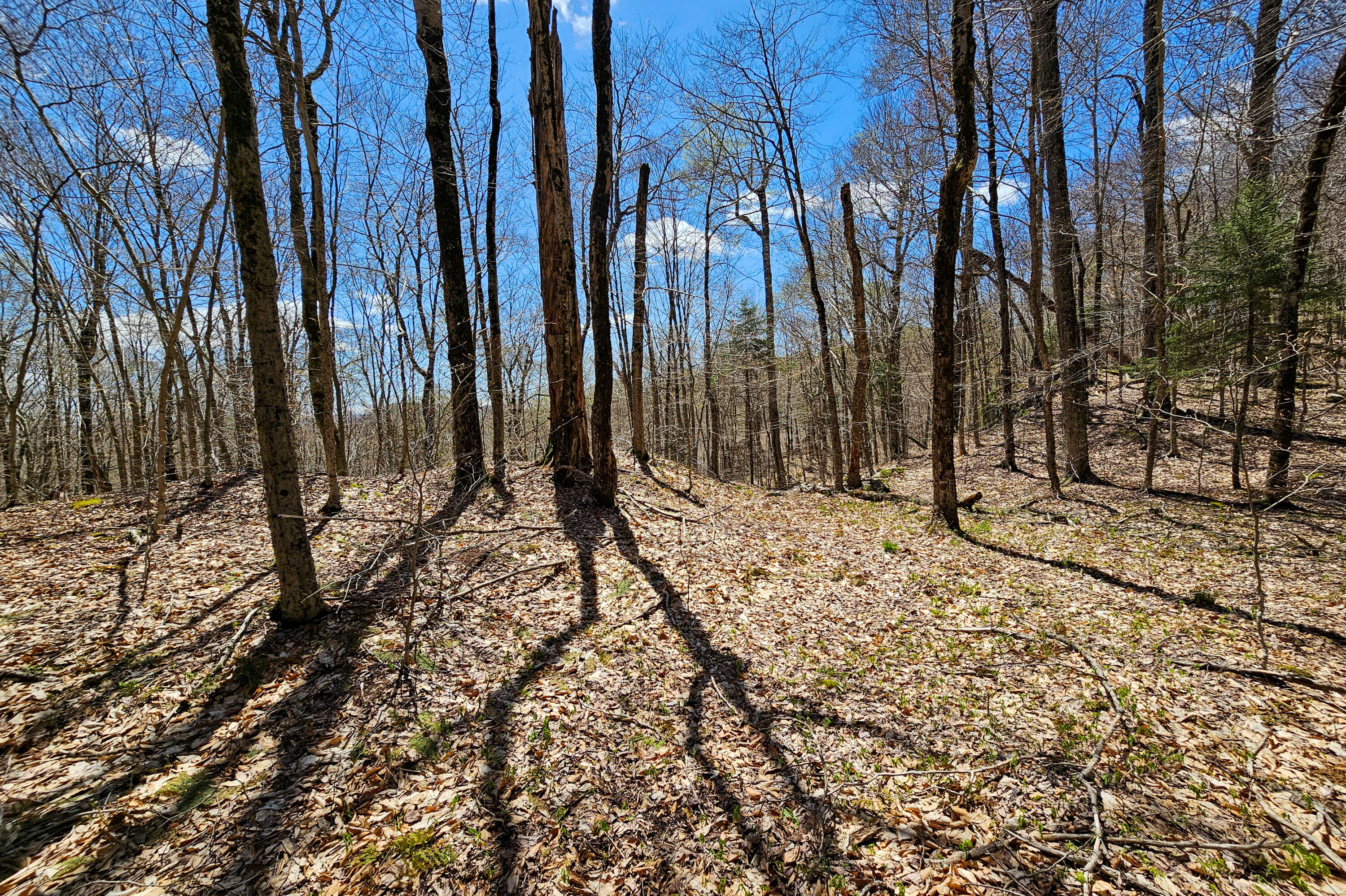 Vacant Lot Palisades Road, Old Forge, New York image 3