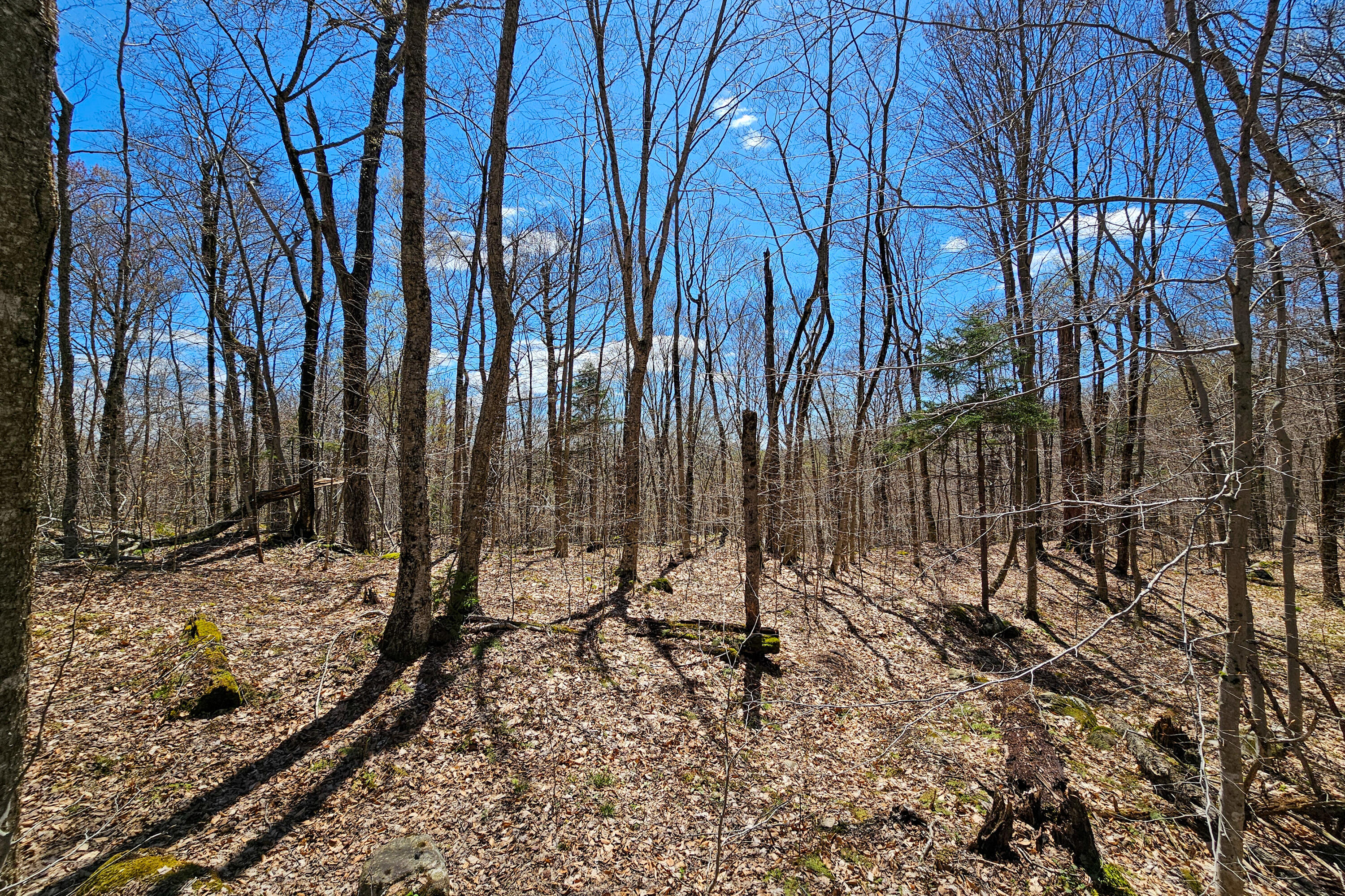 Vacant Lot Palisades Road, Old Forge, New York image 5