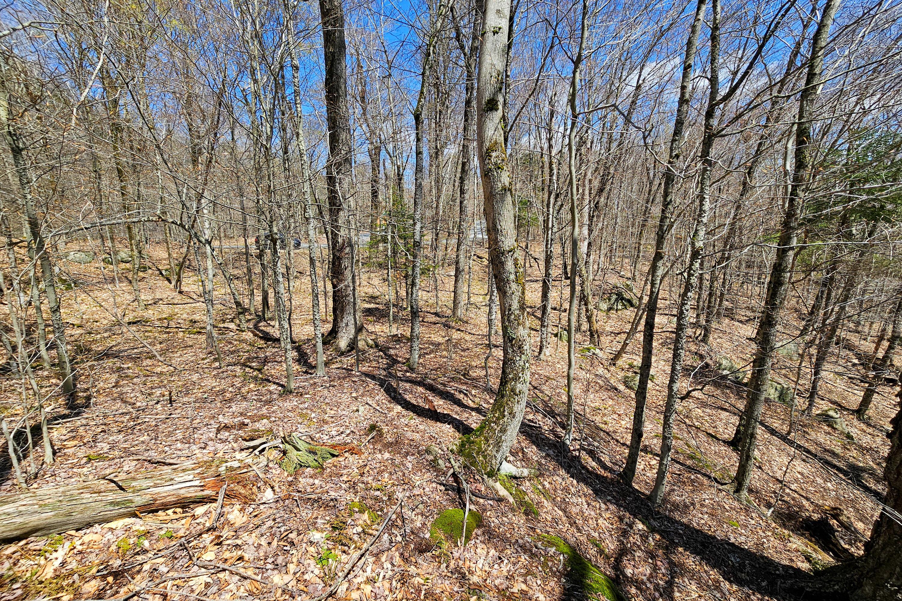 Vacant Lot Palisades Road, Old Forge, New York image 9