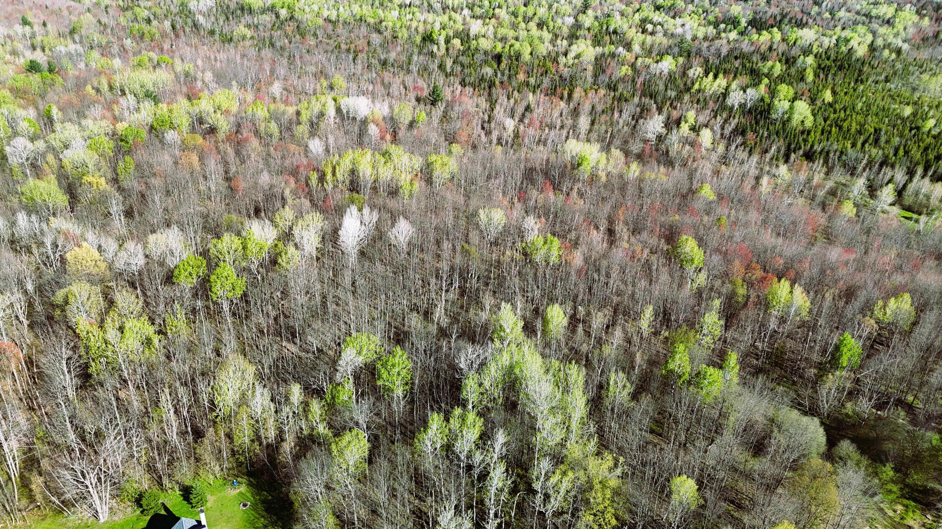 Limekiln Road, Malone, New York image 8