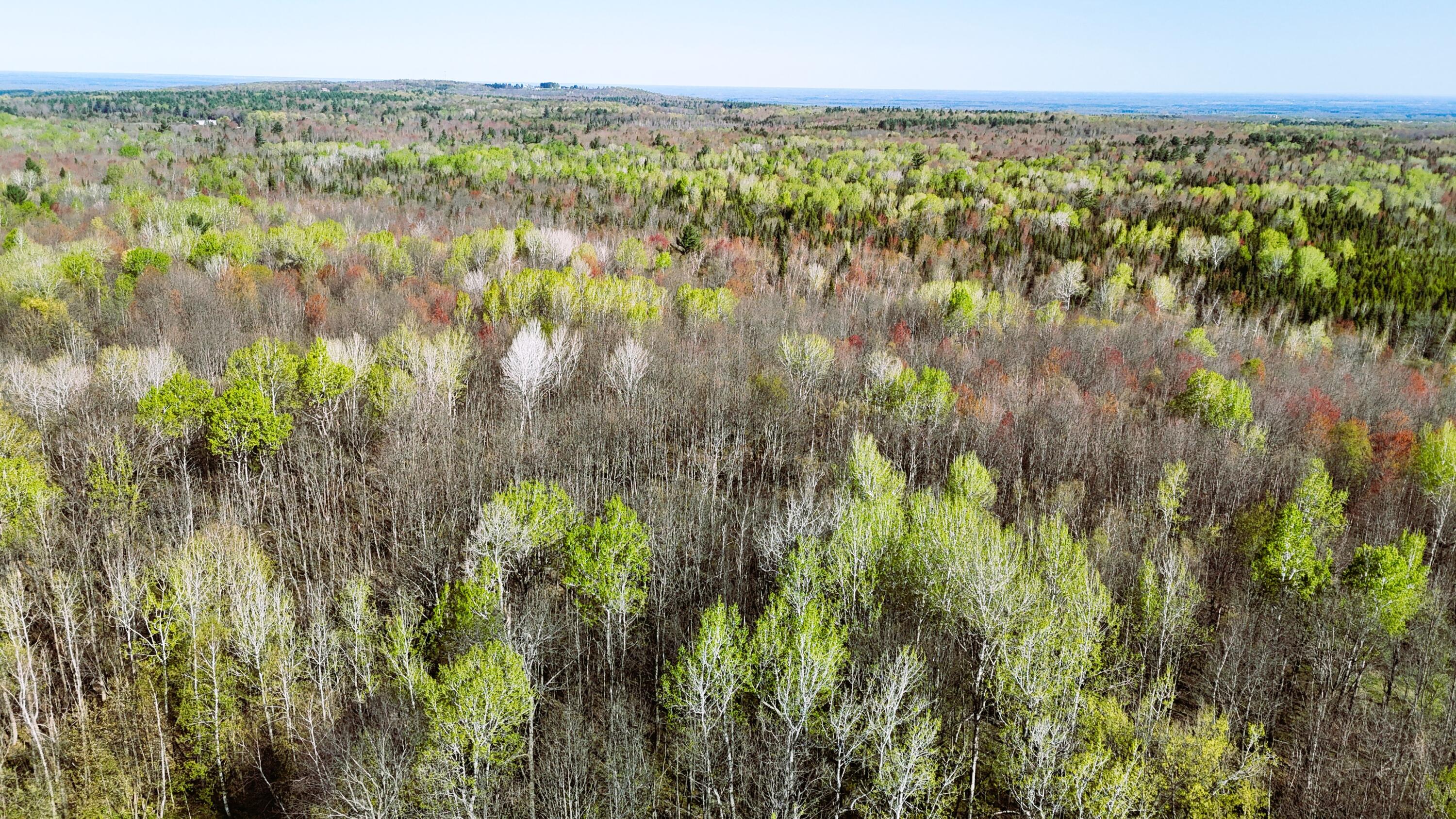 Limekiln Road, Malone, New York image 9