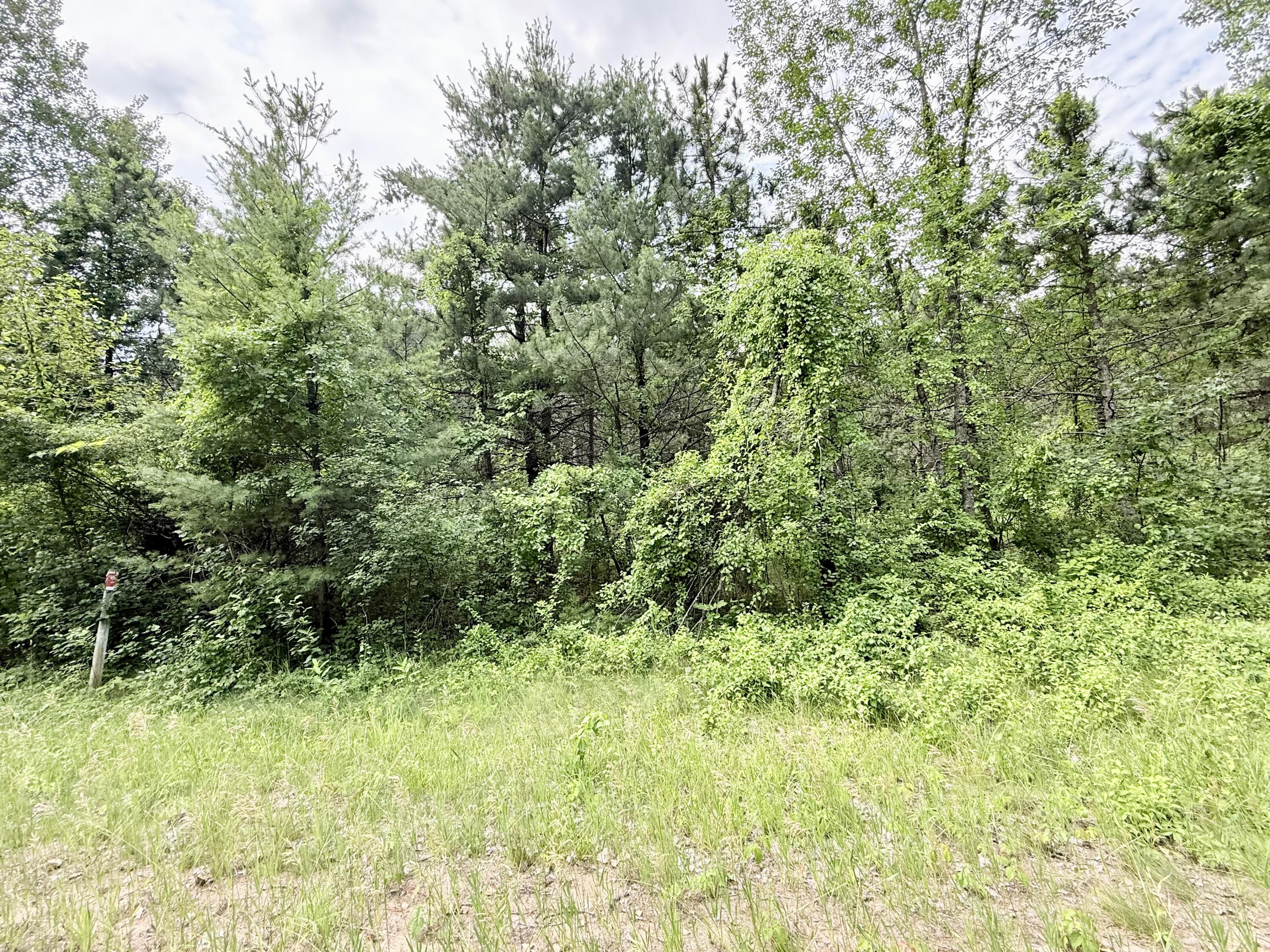 0 Chasm Road Lot 4