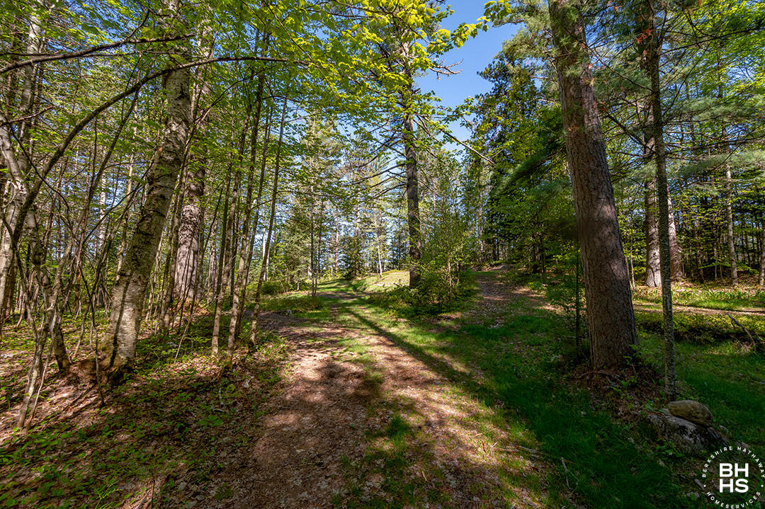 Saranac Lake, New York 12983, United States, ,Land,Active,13371