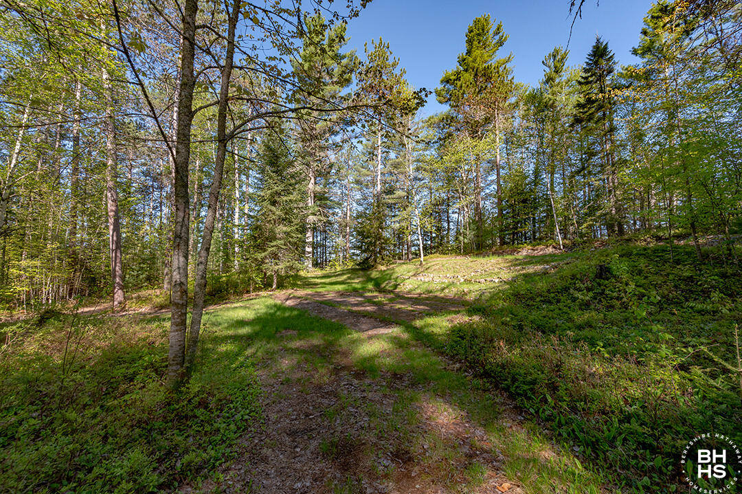 Saranac Lake, New York 12983, United States, ,Land,Active,13371