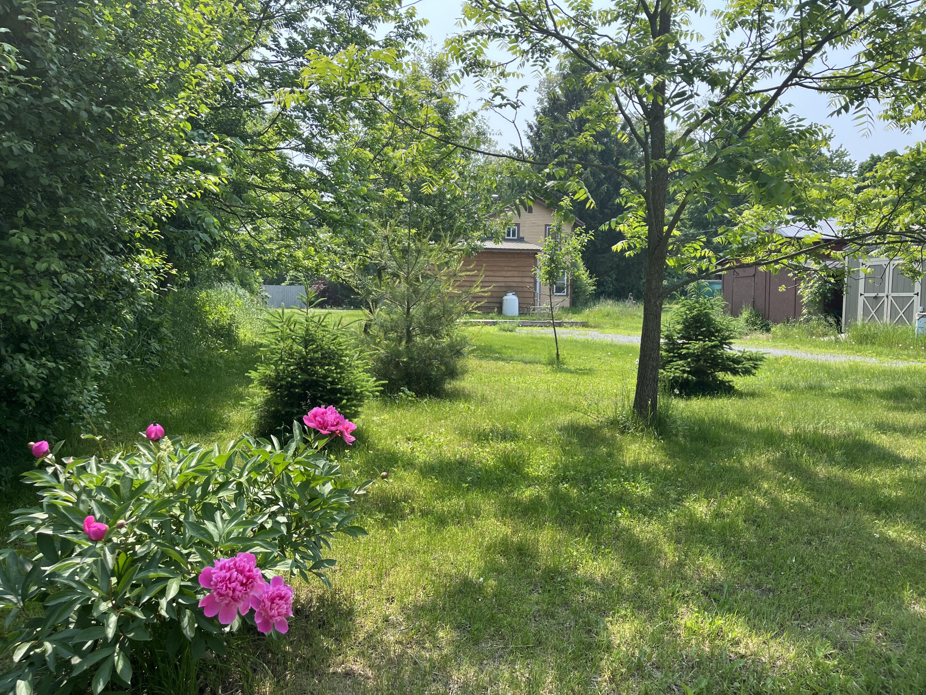 52 Washington Street, Port Kent, New York image 1