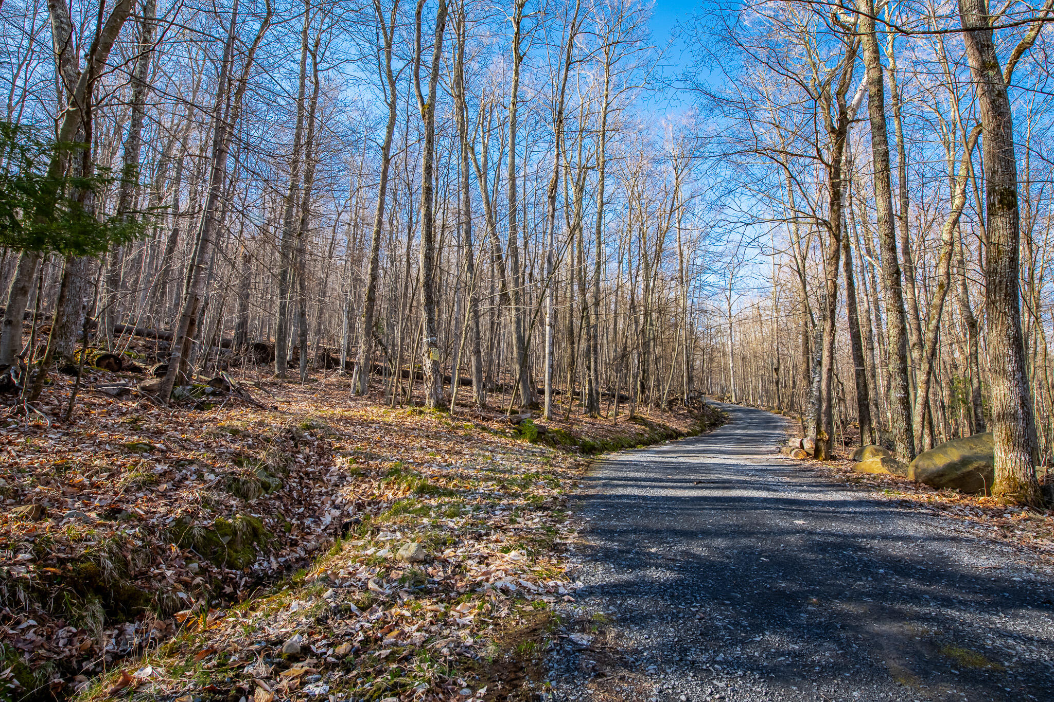 Moose Hill Way, Keene, New York image 1