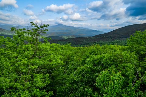 Vacant Land For Sale - Moose Hill Way<br/> Keene, NY 12942