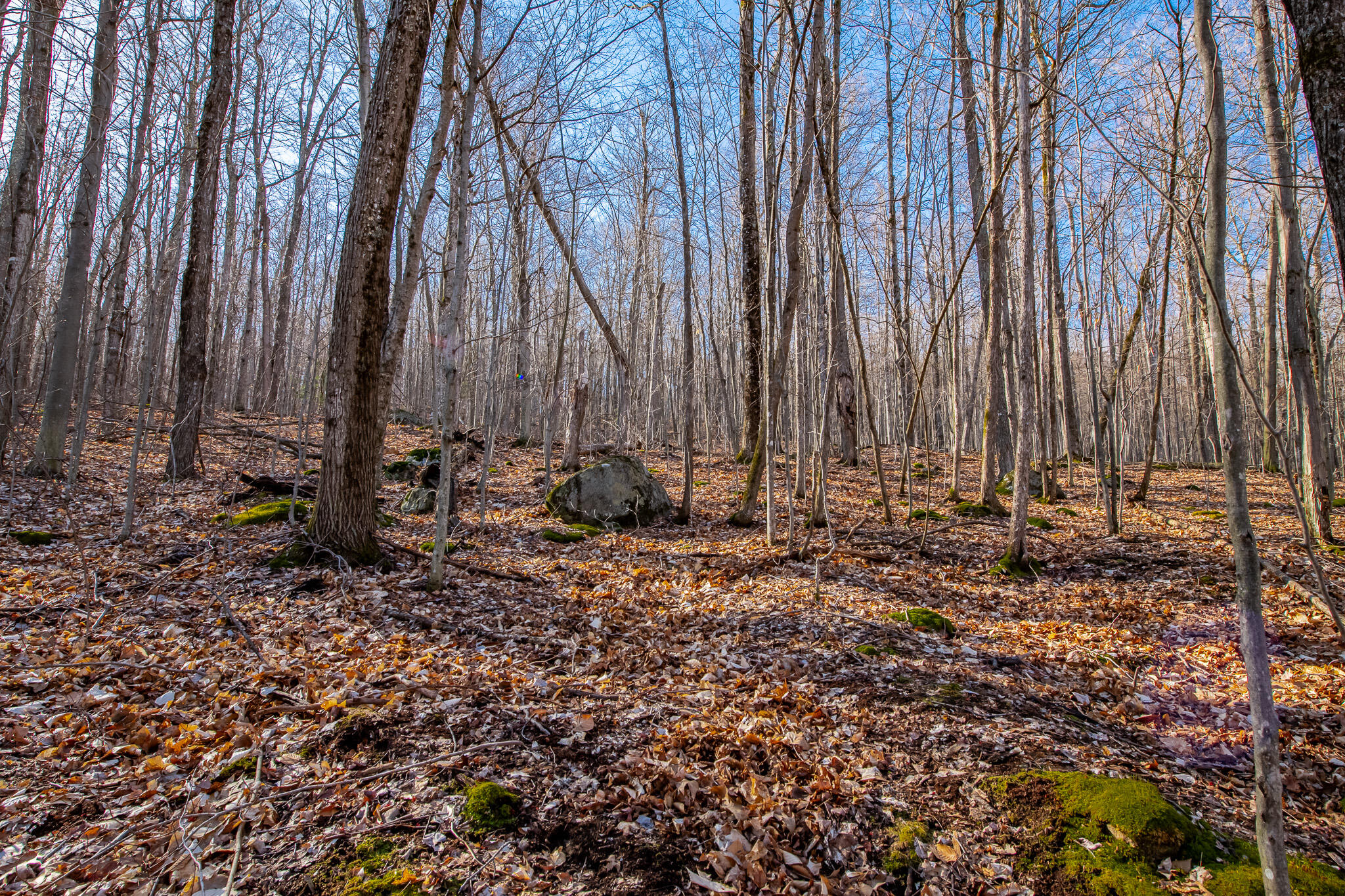 Moose Hill Way, Keene, New York image 10