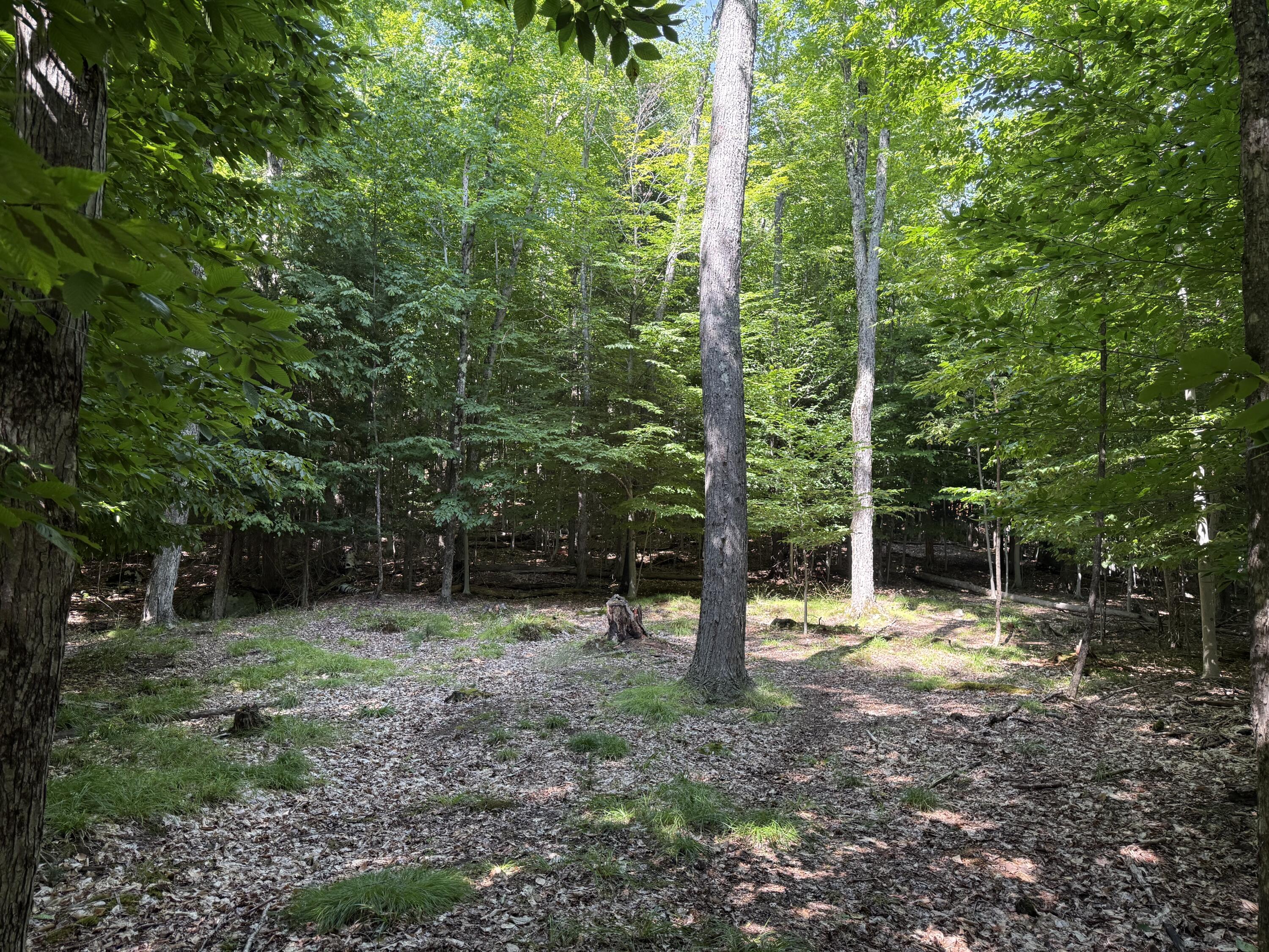 0 Indian Rock Trail Trail