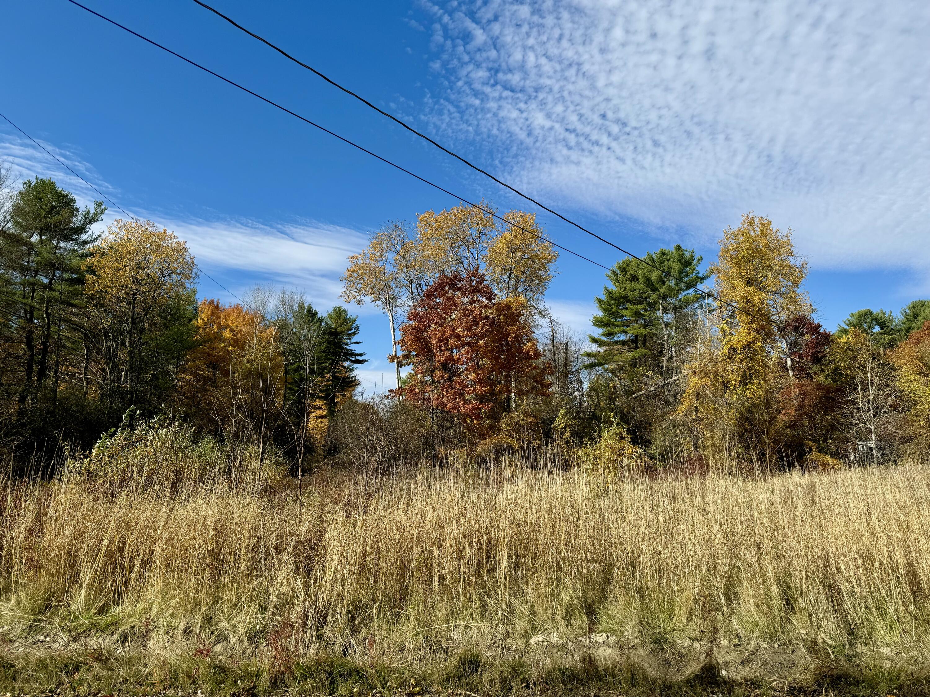 Cyprus Avenue, Willsboro, New York image 1