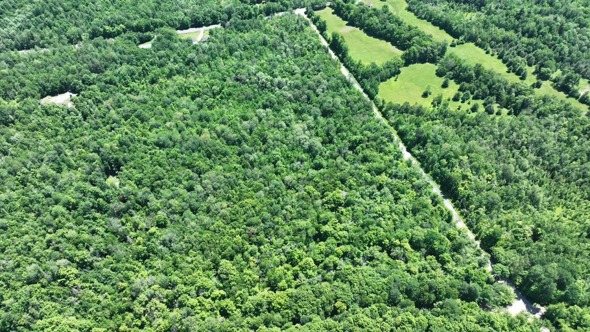 00 Nashville Road