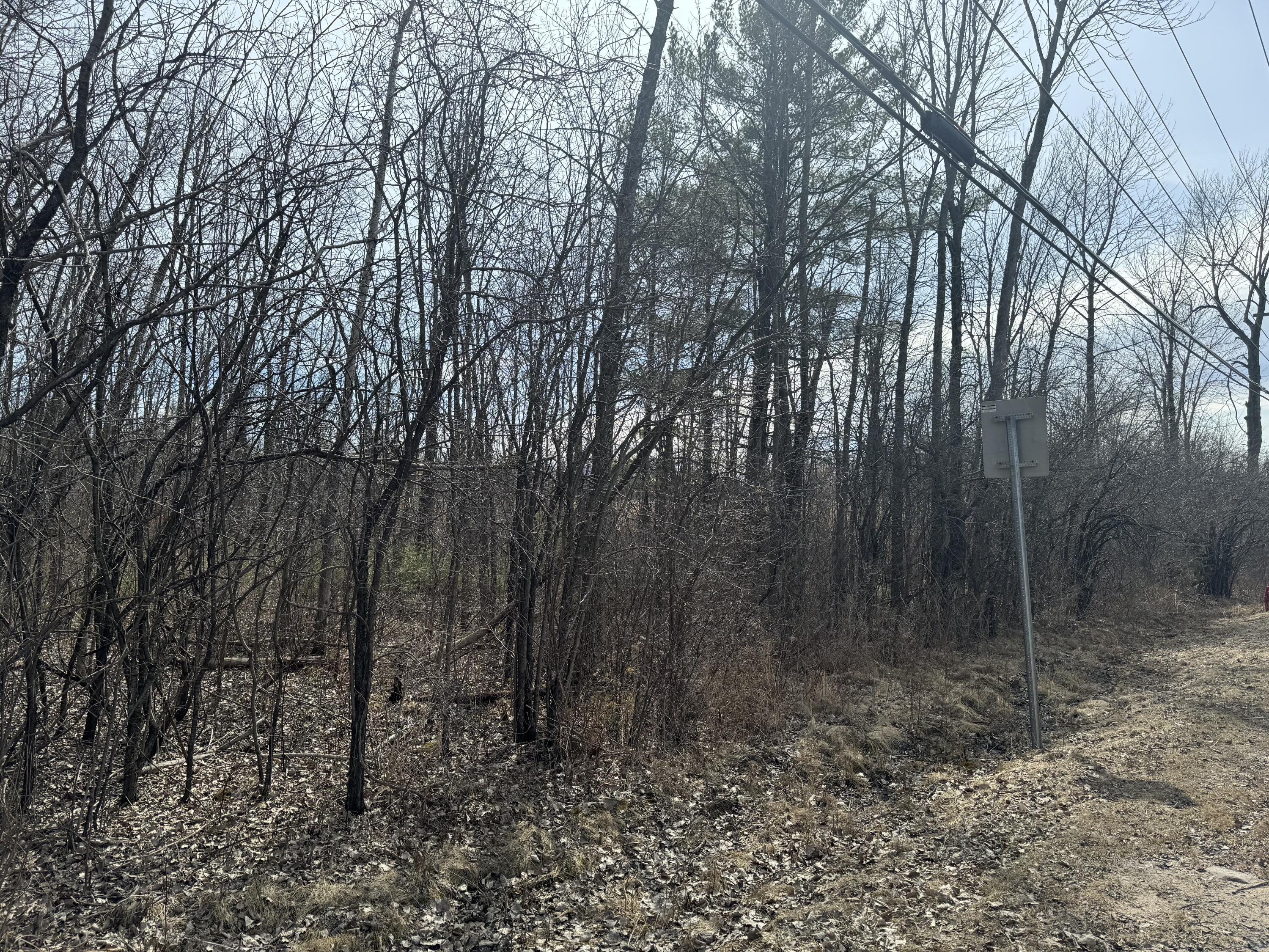 Cumberland Head Road, Plattsburgh, New York image 2