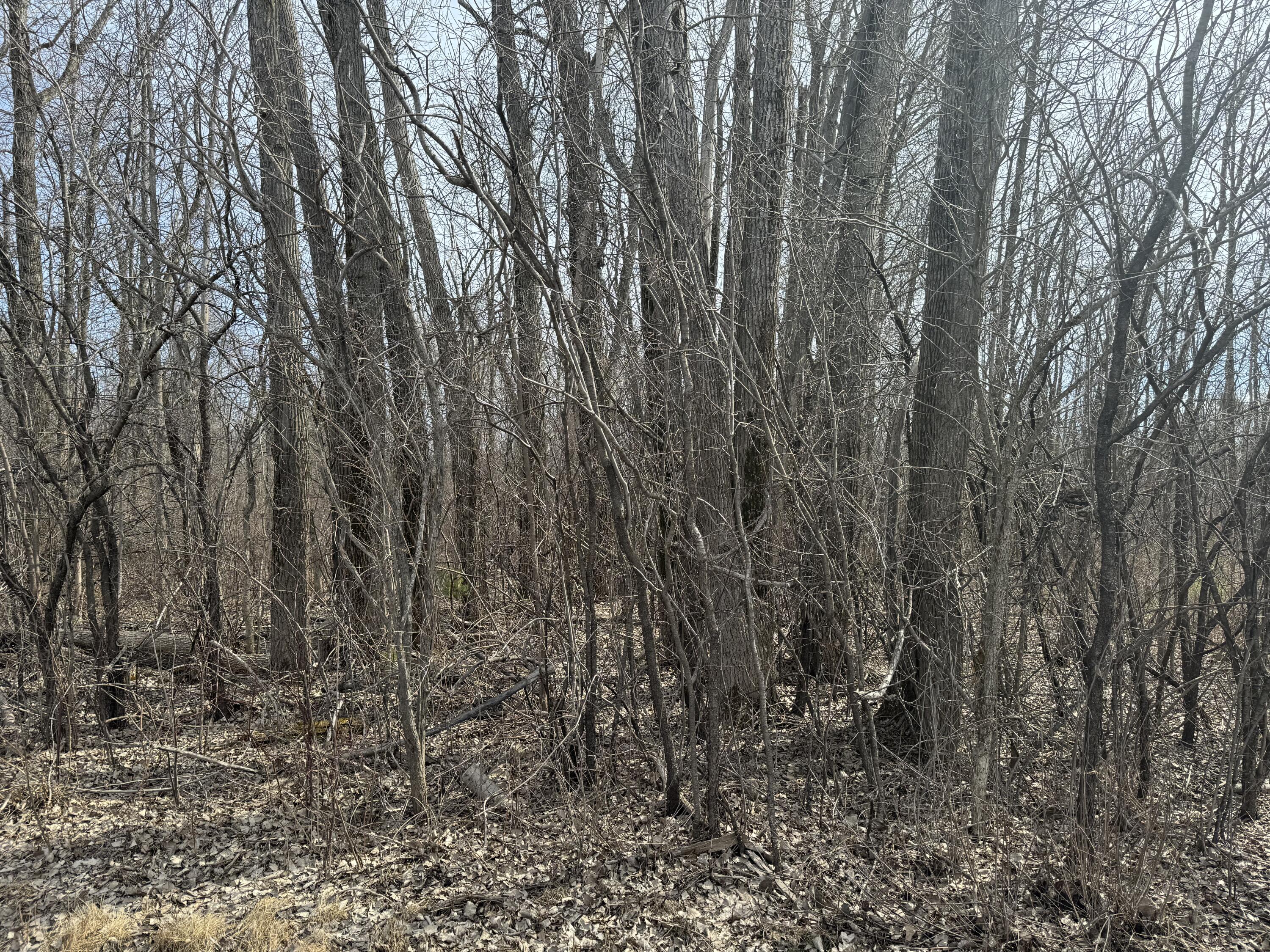 Cumberland Head Road, Plattsburgh, New York image 1
