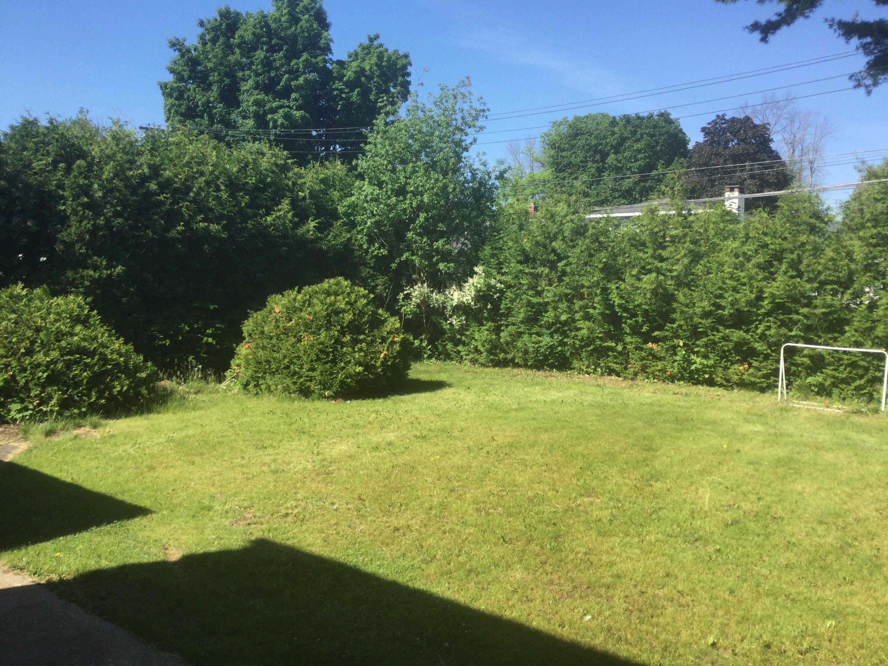 56 Olivetti Place