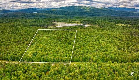 Vacant Land For Sale - 5 Daigneau Trail<br/> Vermontville, NY 12989