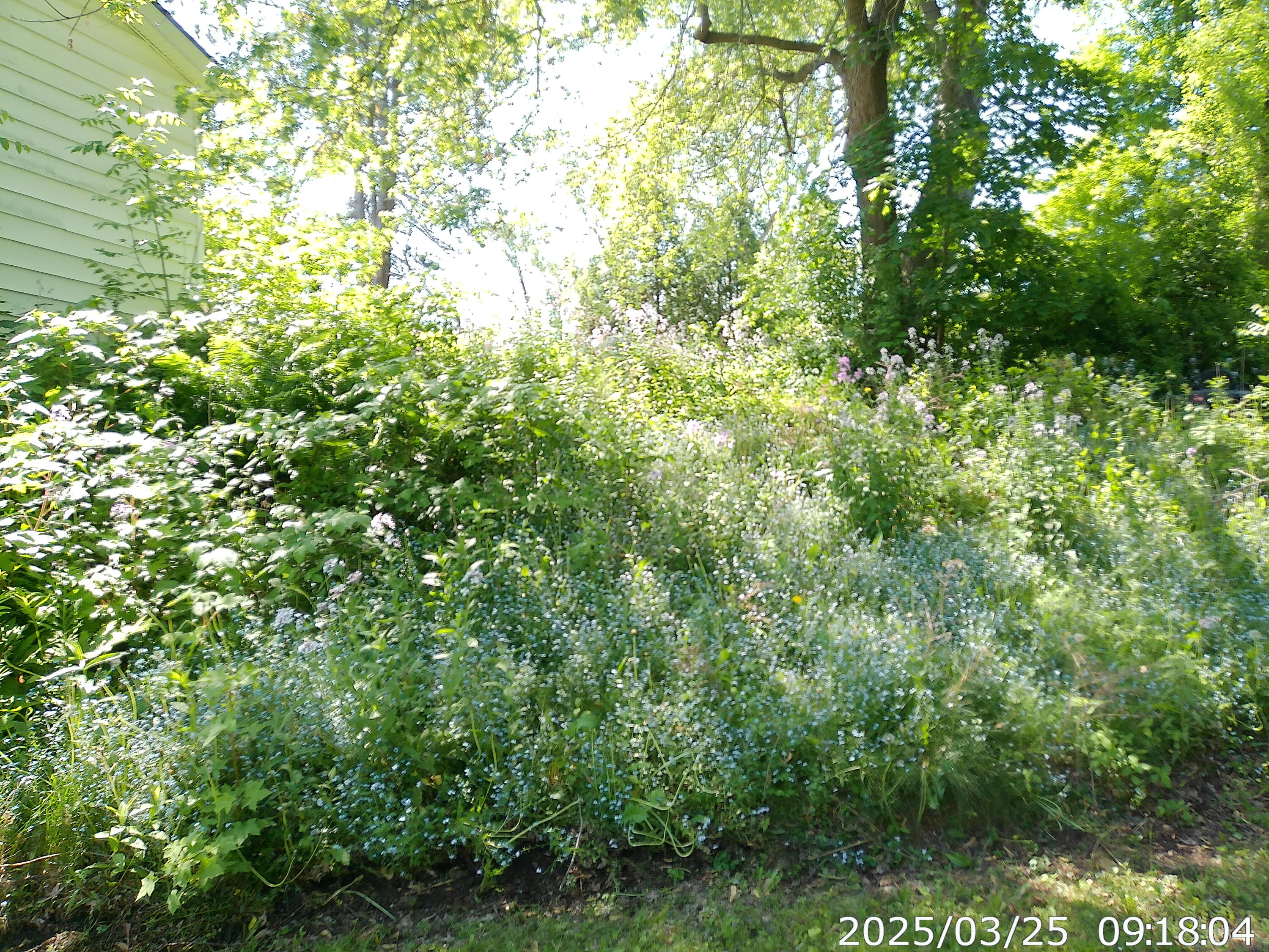 6528 Main Street, Westport, New York image 21