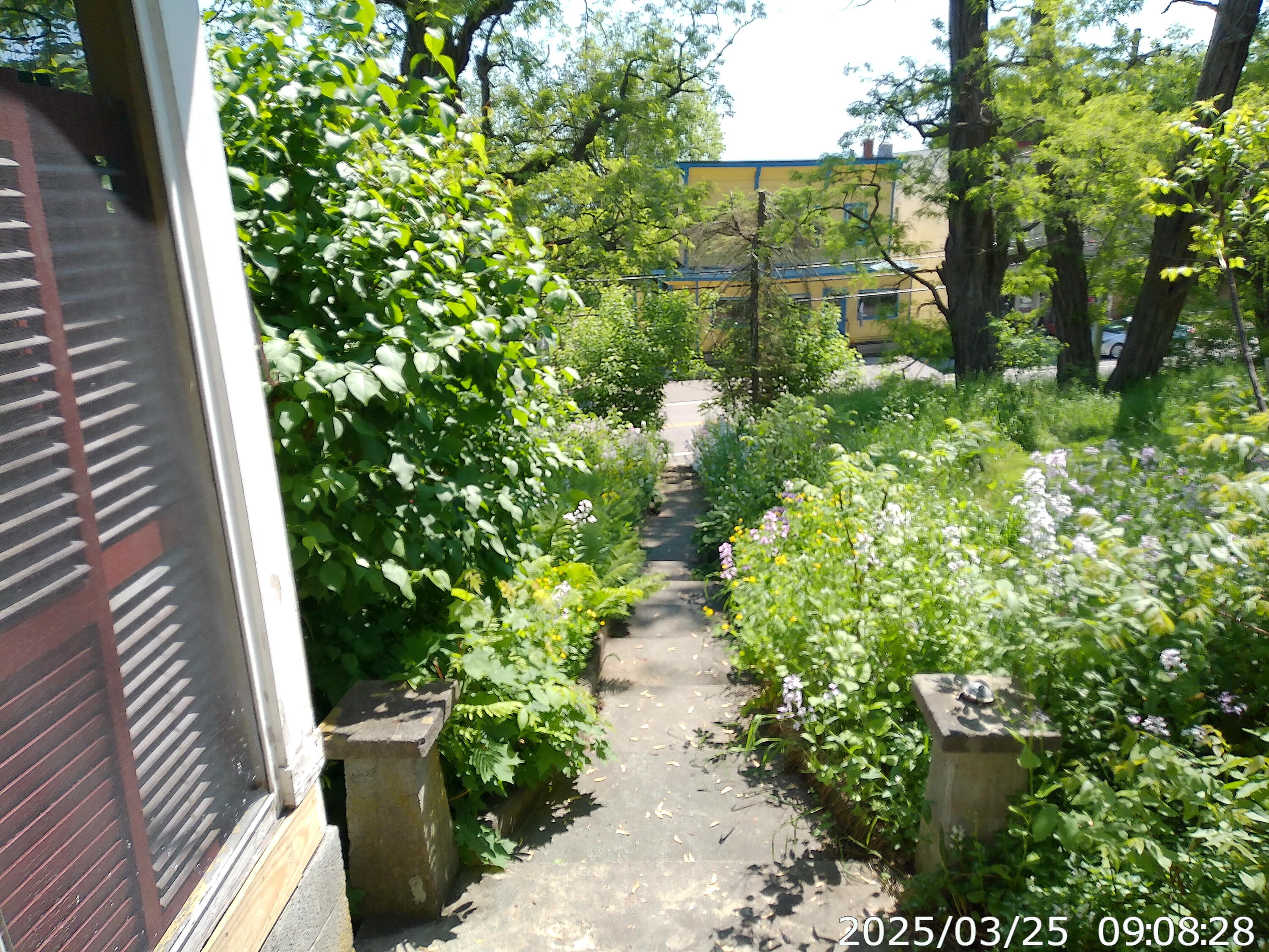 6528 Main Street, Westport, New York image 35