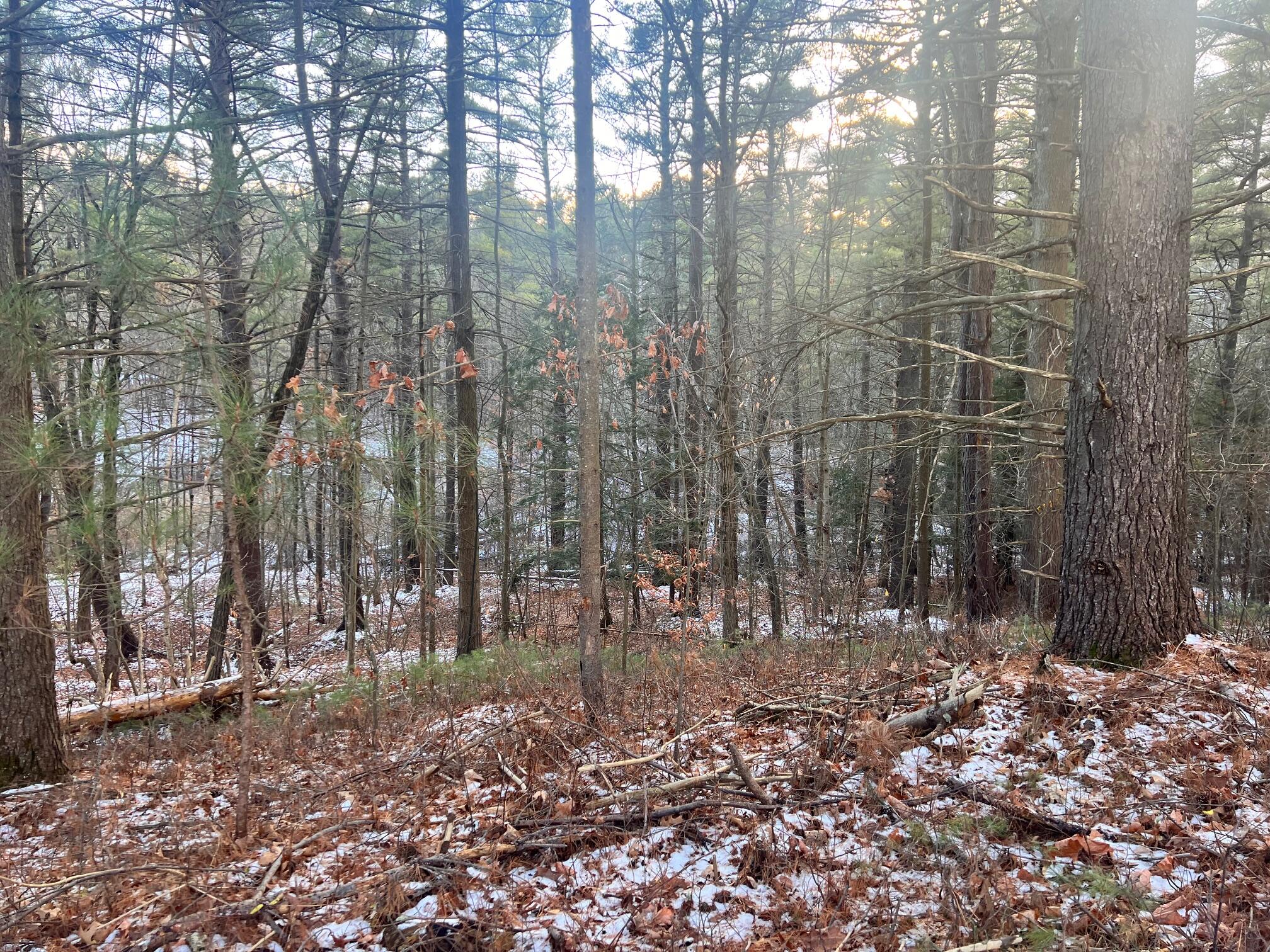 Laflure Lane, Keeseville, New York image 7