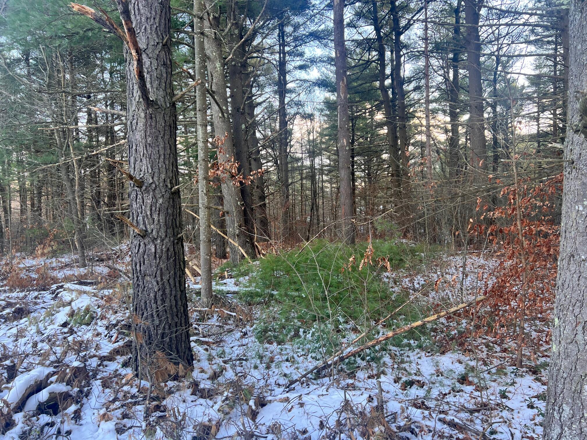 Laflure Lane, Keeseville, New York image 3