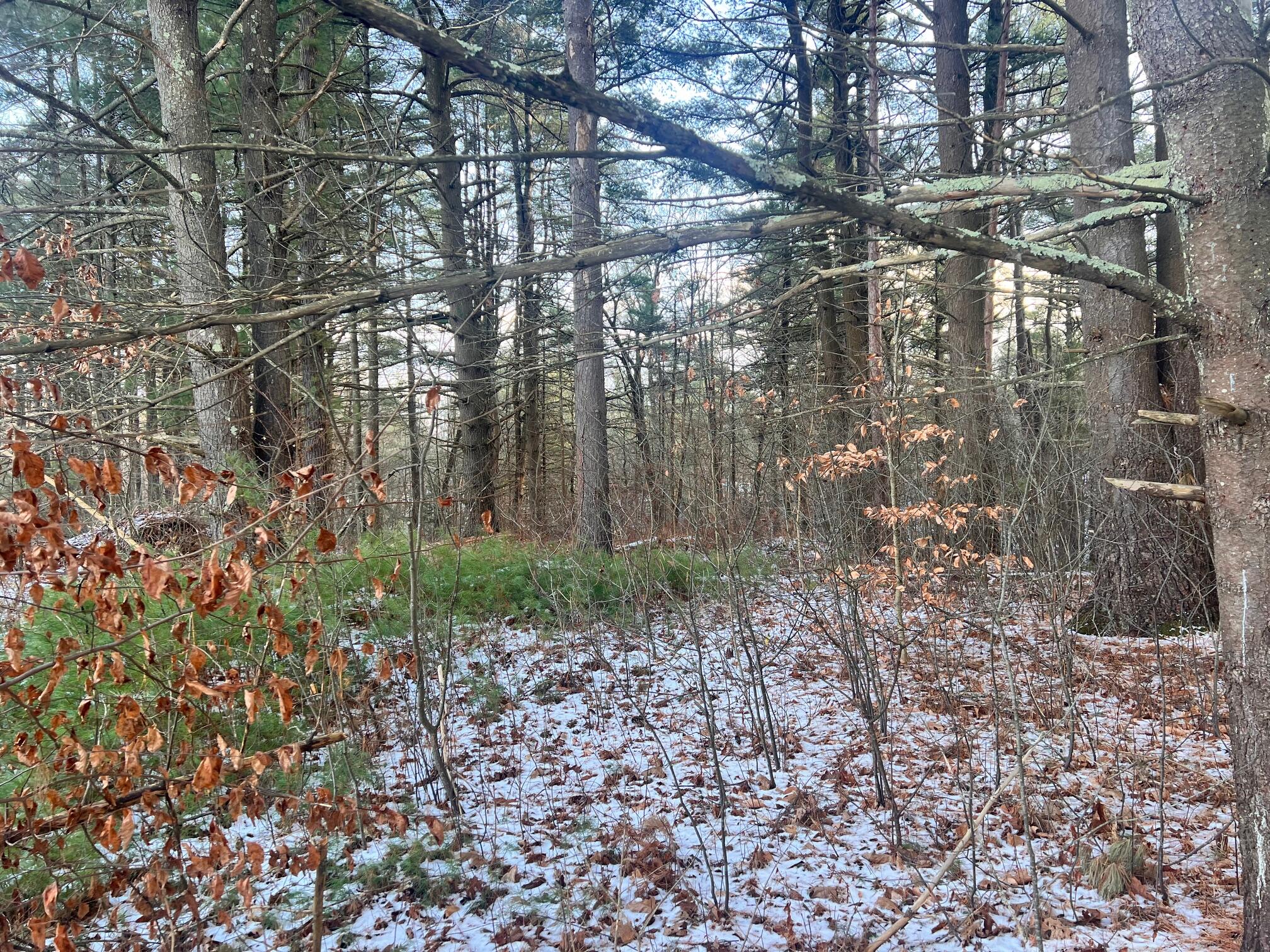 Laflure Lane, Keeseville, New York image 4