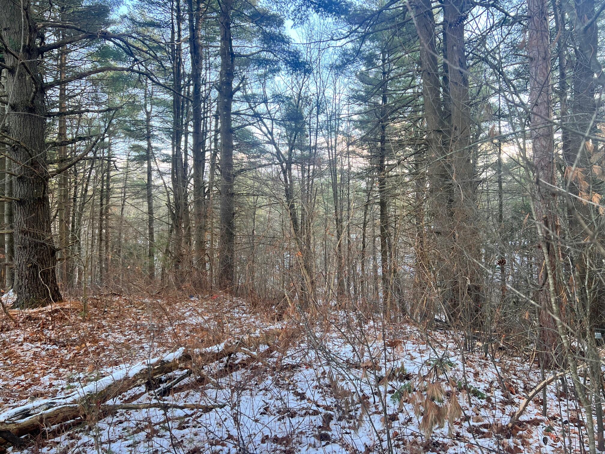 Laflure Lane, Keeseville, New York image 6