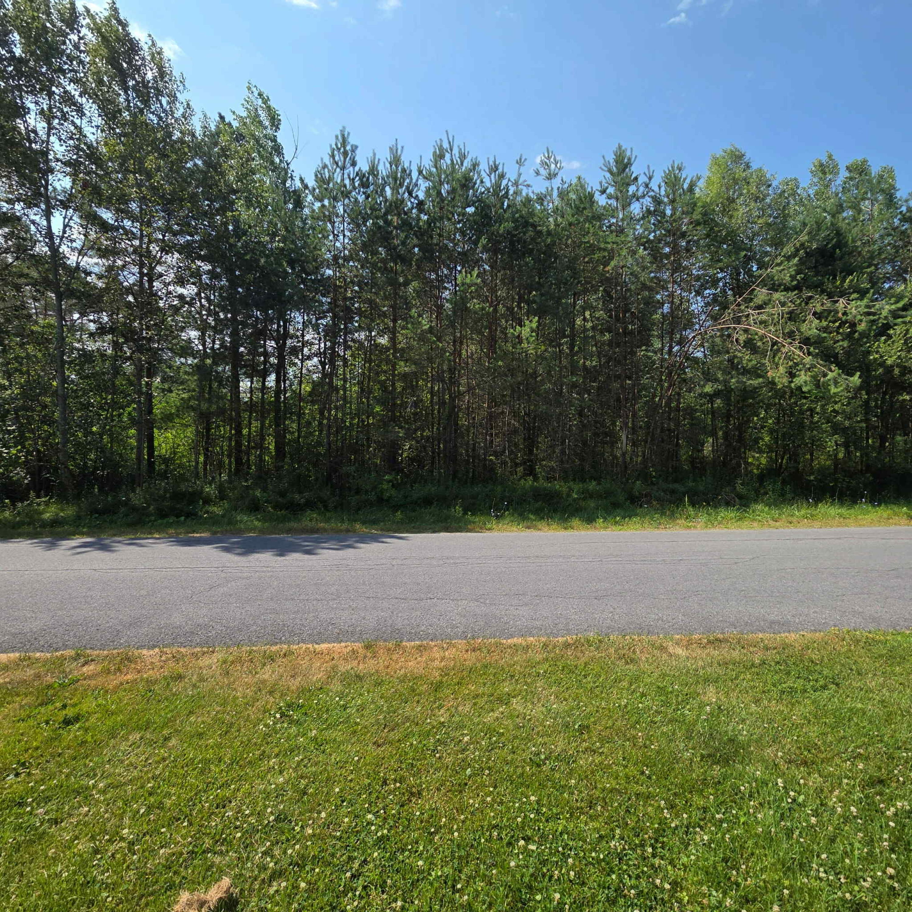 17 Pinewood Drive