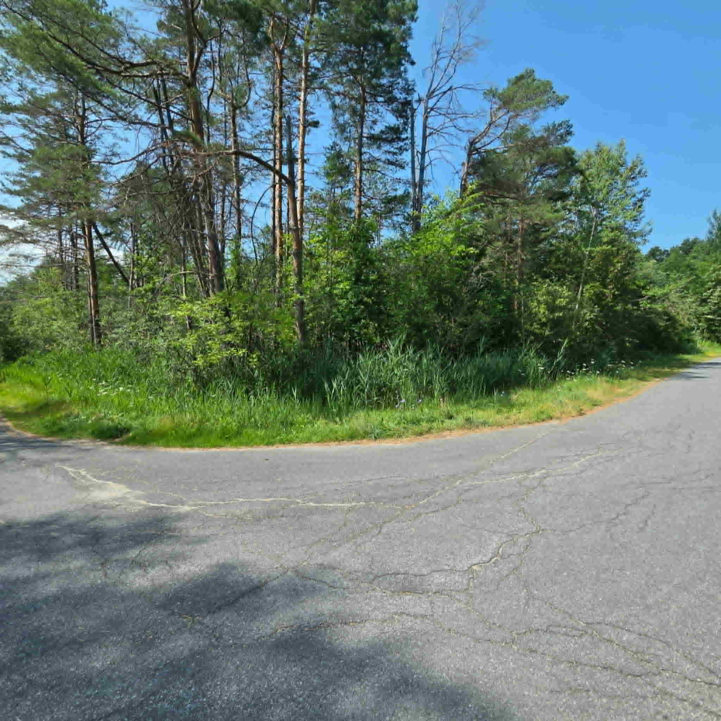 17 Pinewood Drive