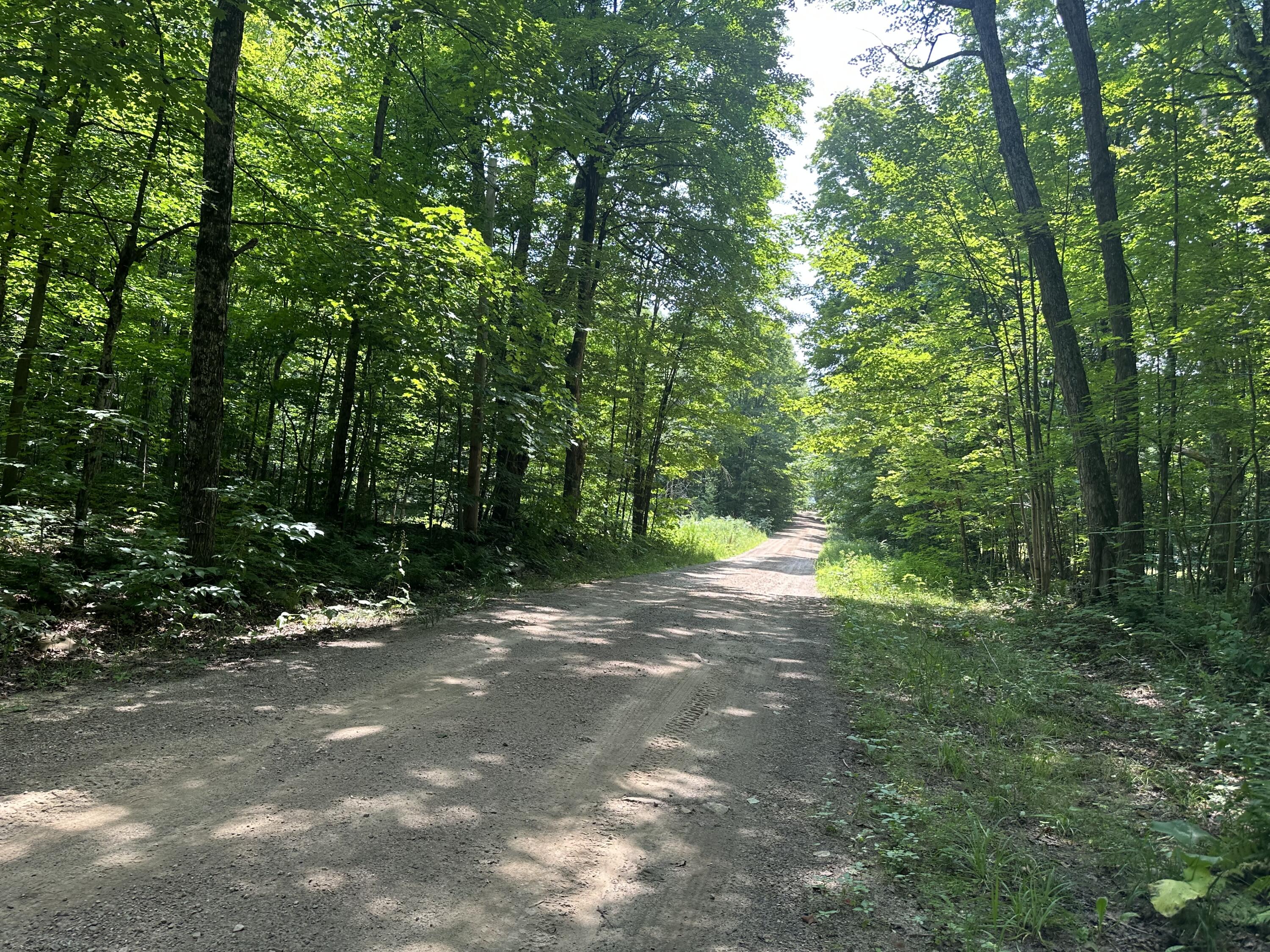 Drown Road, Mooers, New York image 7