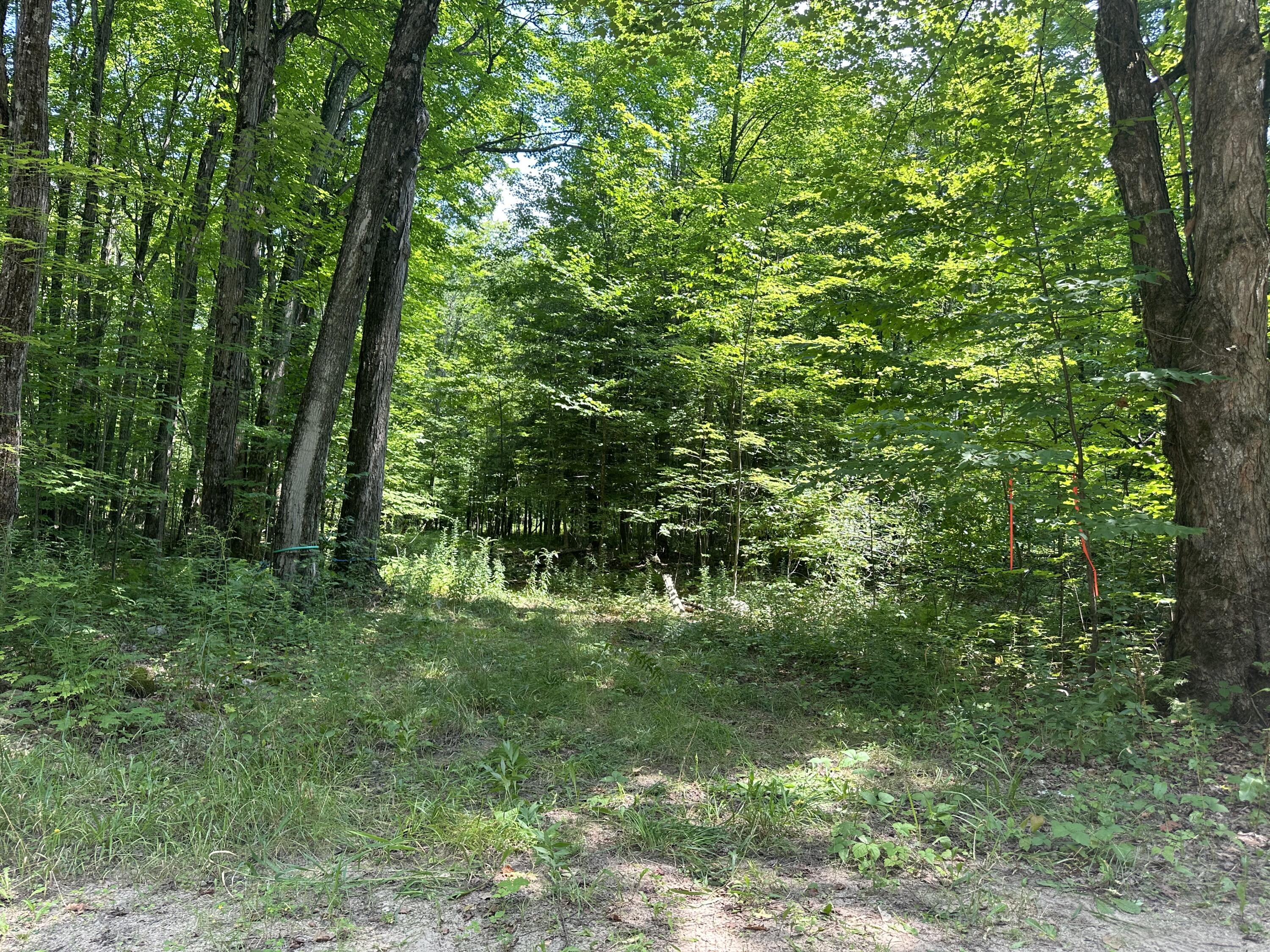 Drown Road, Mooers, New York image 1