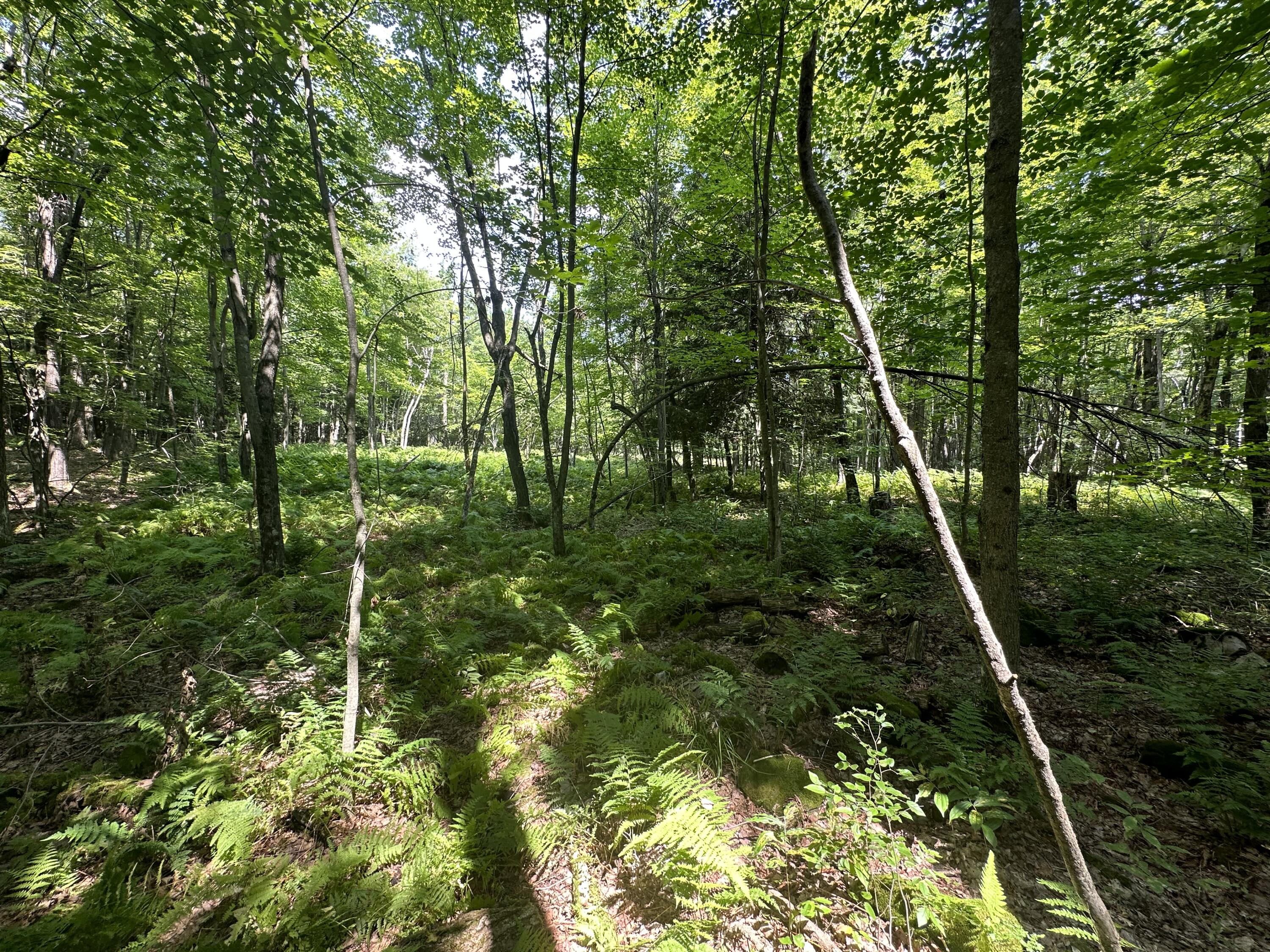 Drown Road, Mooers, New York image 3