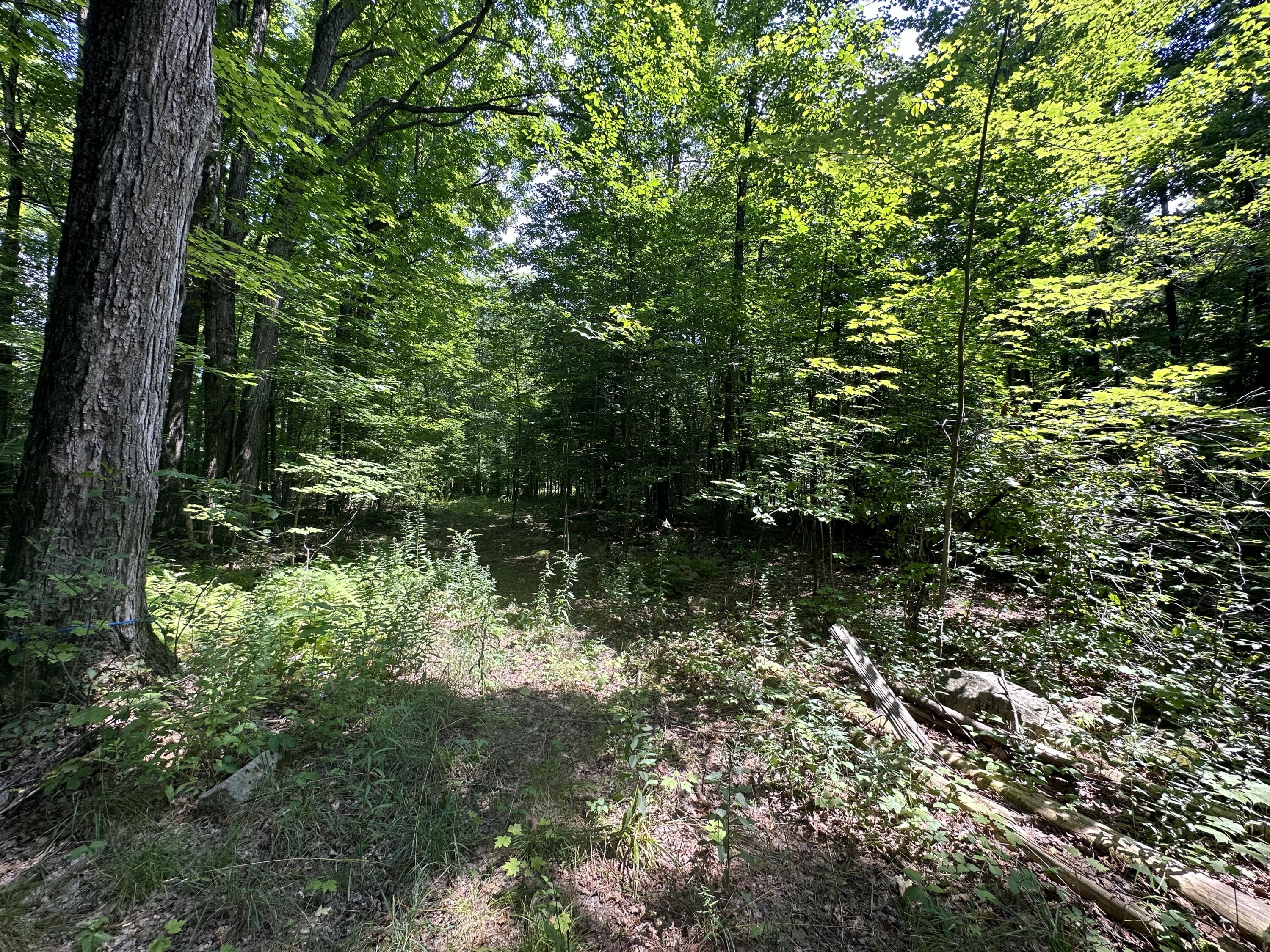 Drown Road, Mooers, New York image 8