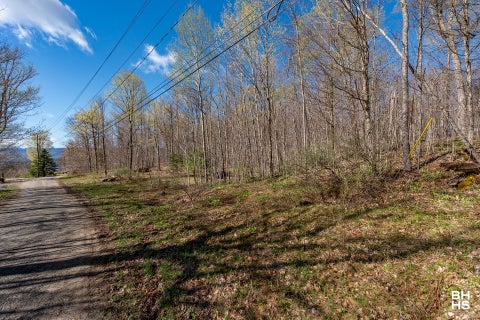 Vacant Land For Sale - Panorama Lot 13 Drive<br/> Saranac Lake, NY 12983