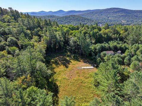 Vacant Land For Sale - L39 Off Flowers Way<br/> Long Lake, NY 12847