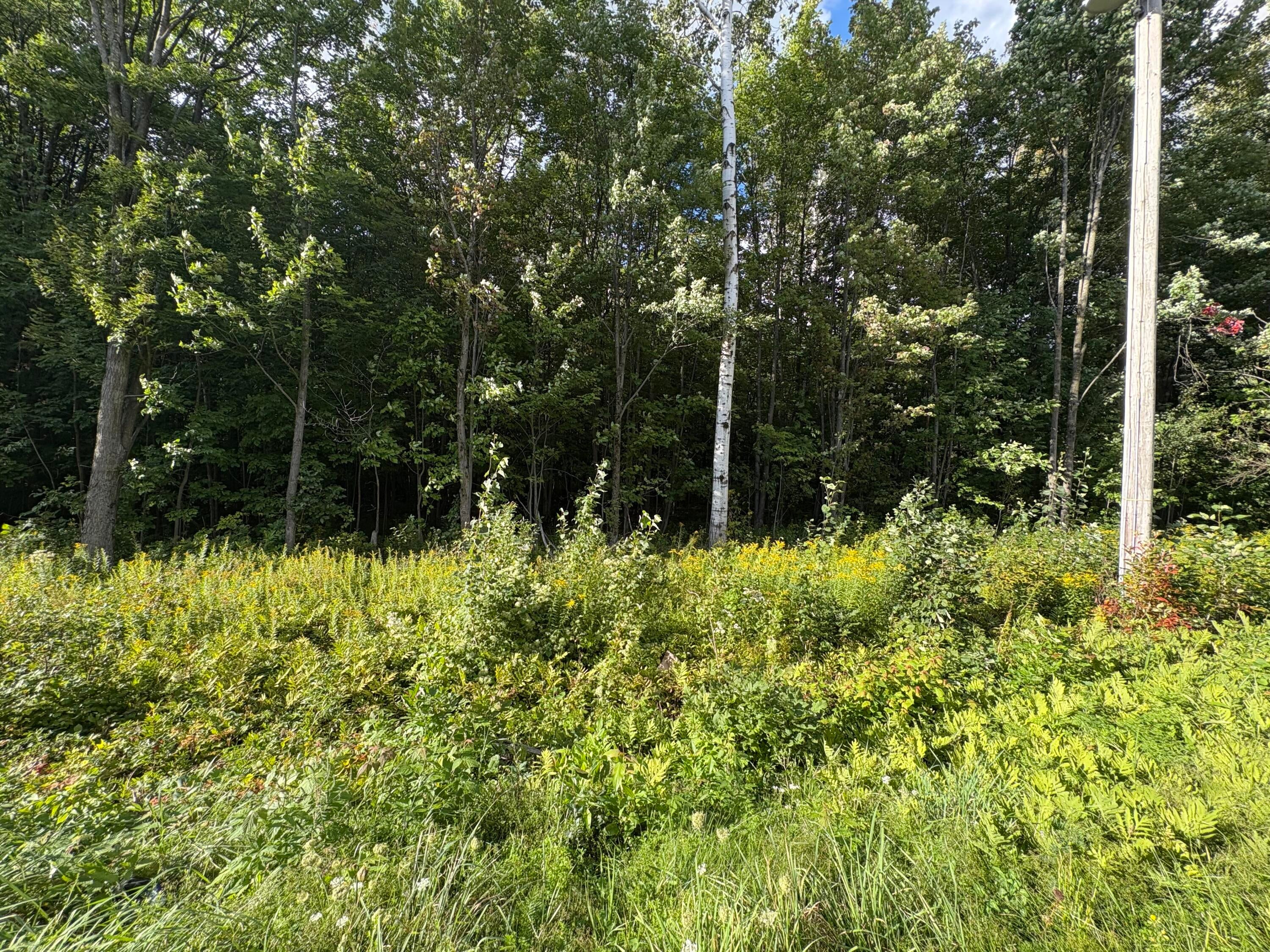0 County Route 36